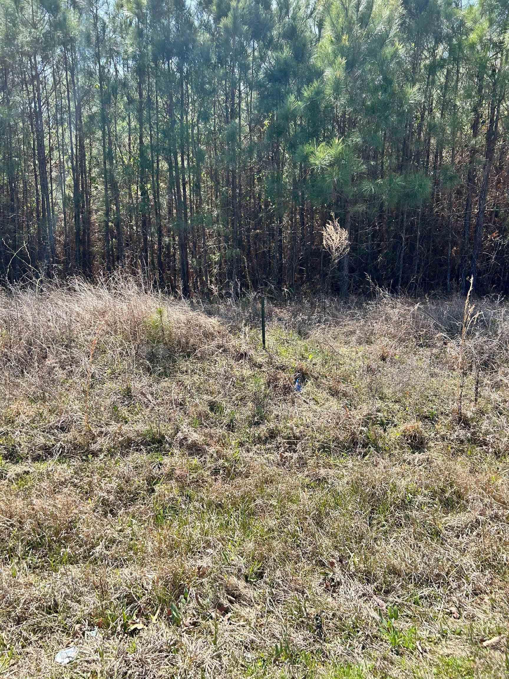 Dunkeffie Property Photo 13