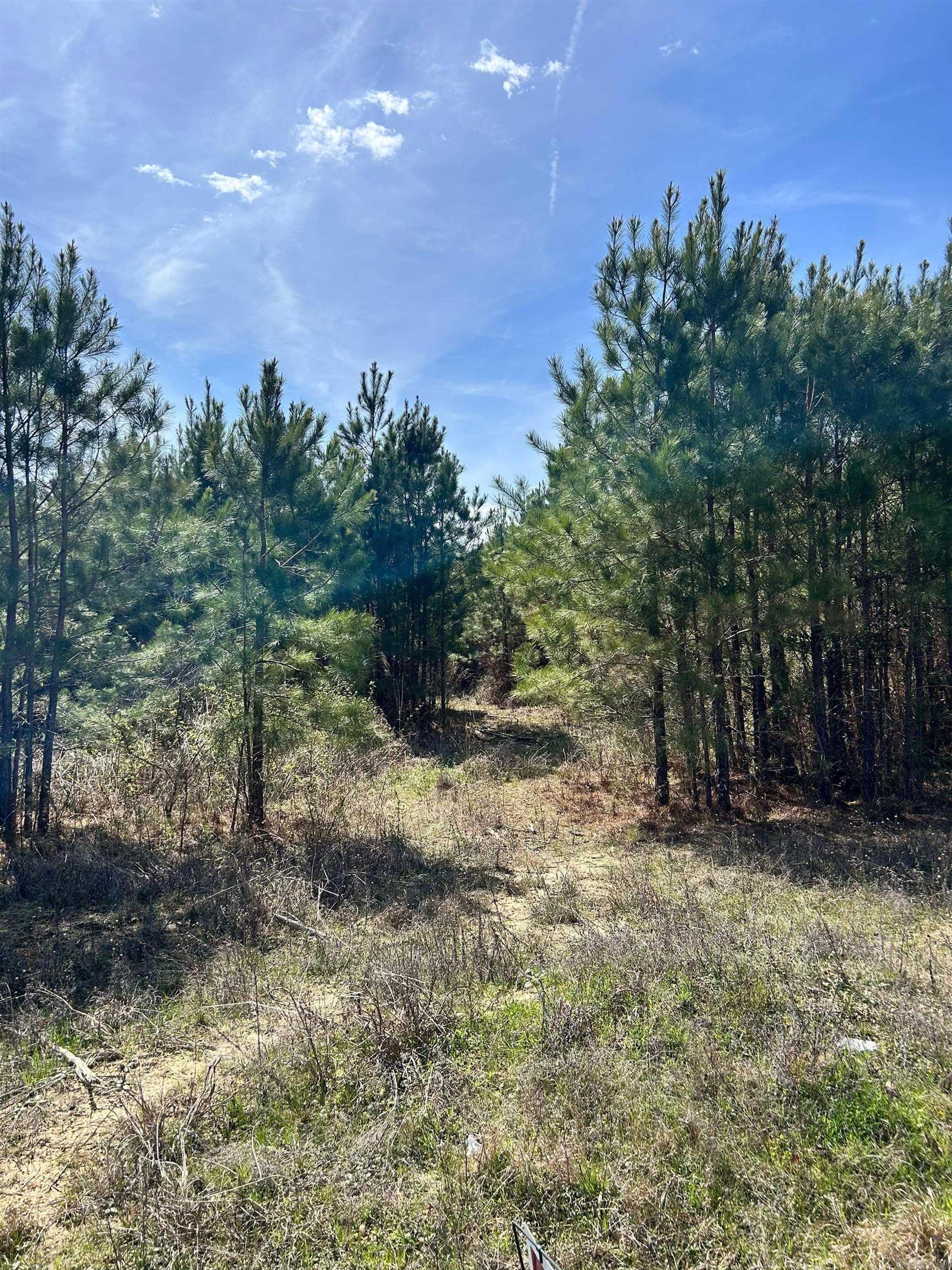 Dunkeffie Property Photo 14