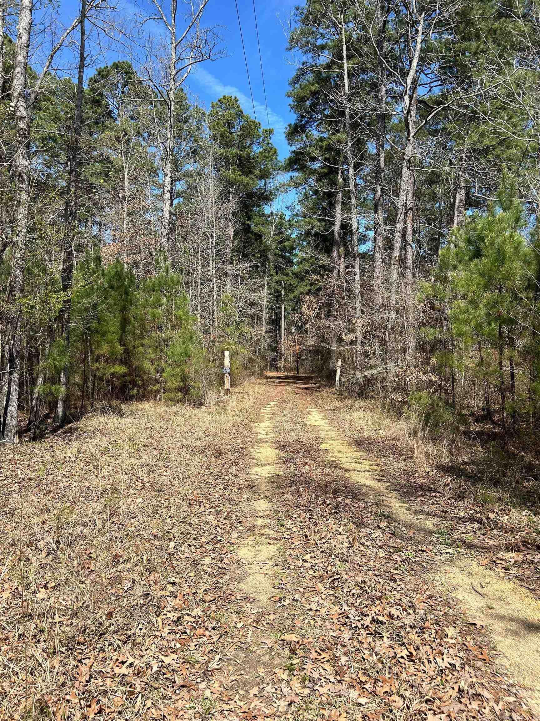 Dunkeffie Property Photo 16