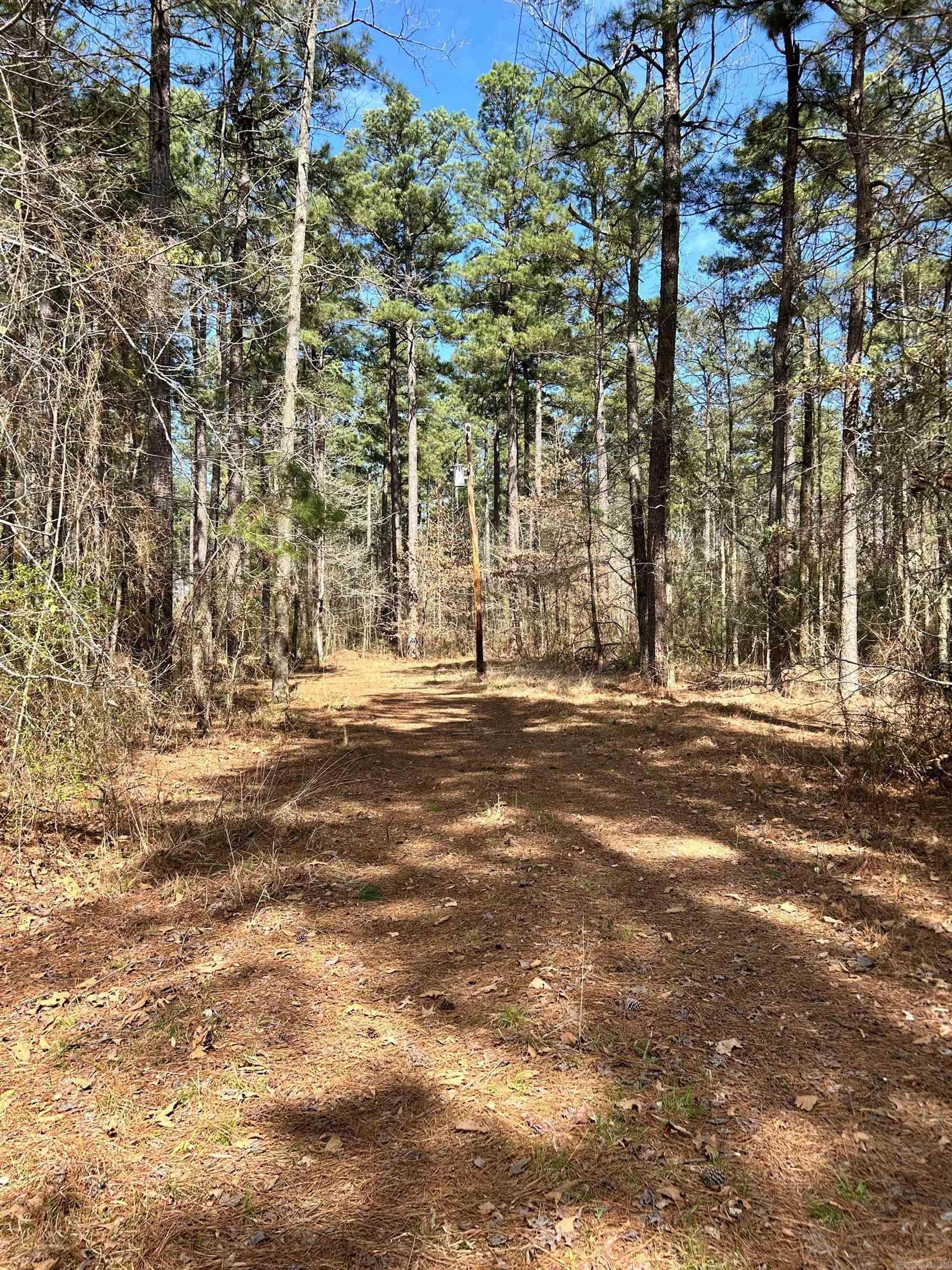 Dunkeffie Property Photo 17