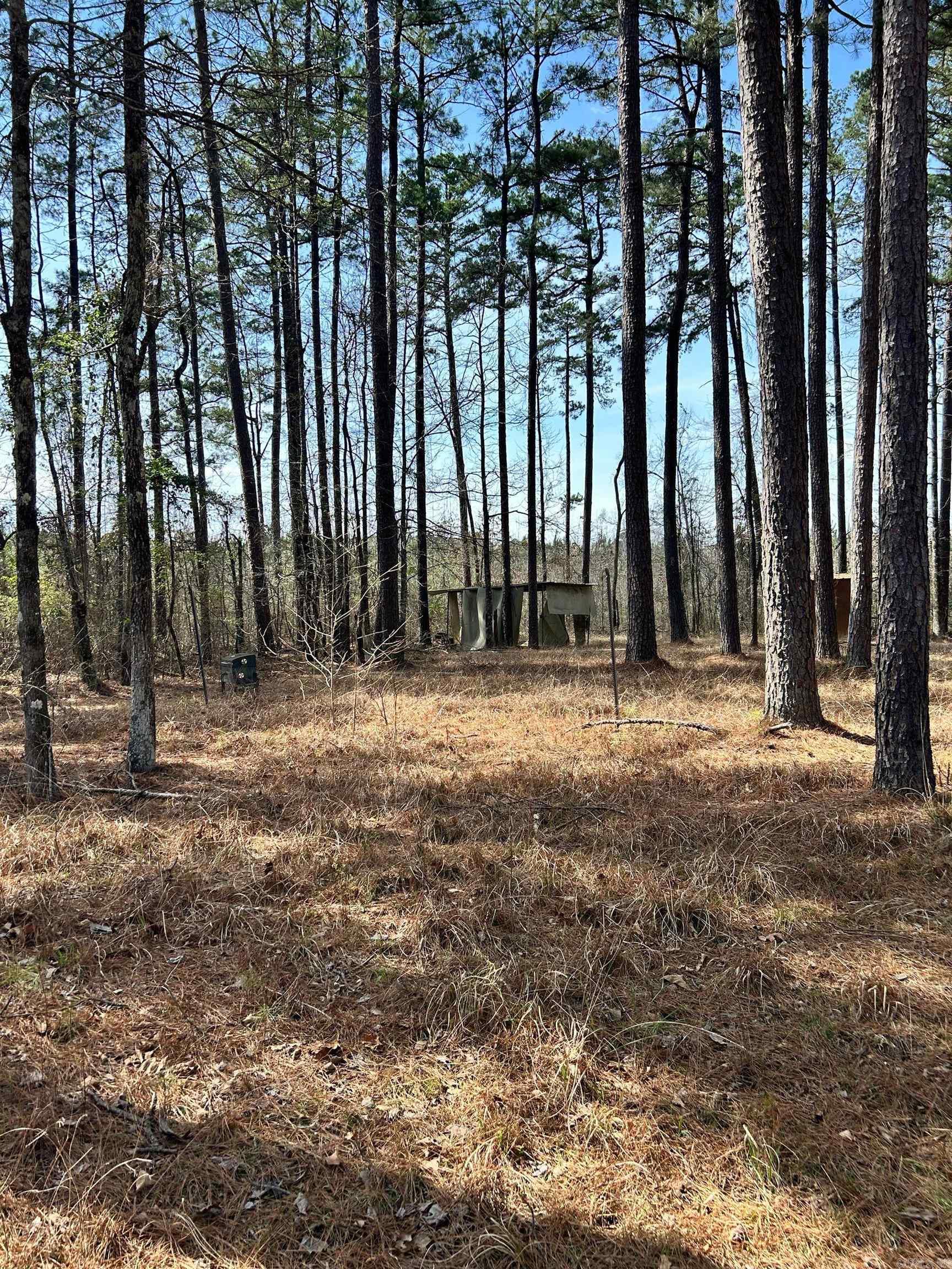 Dunkeffie Property Photo 19