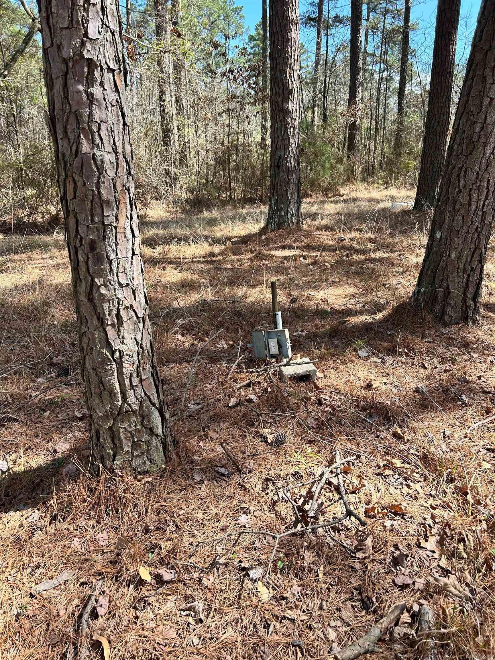 Dunkeffie Property Photo 32