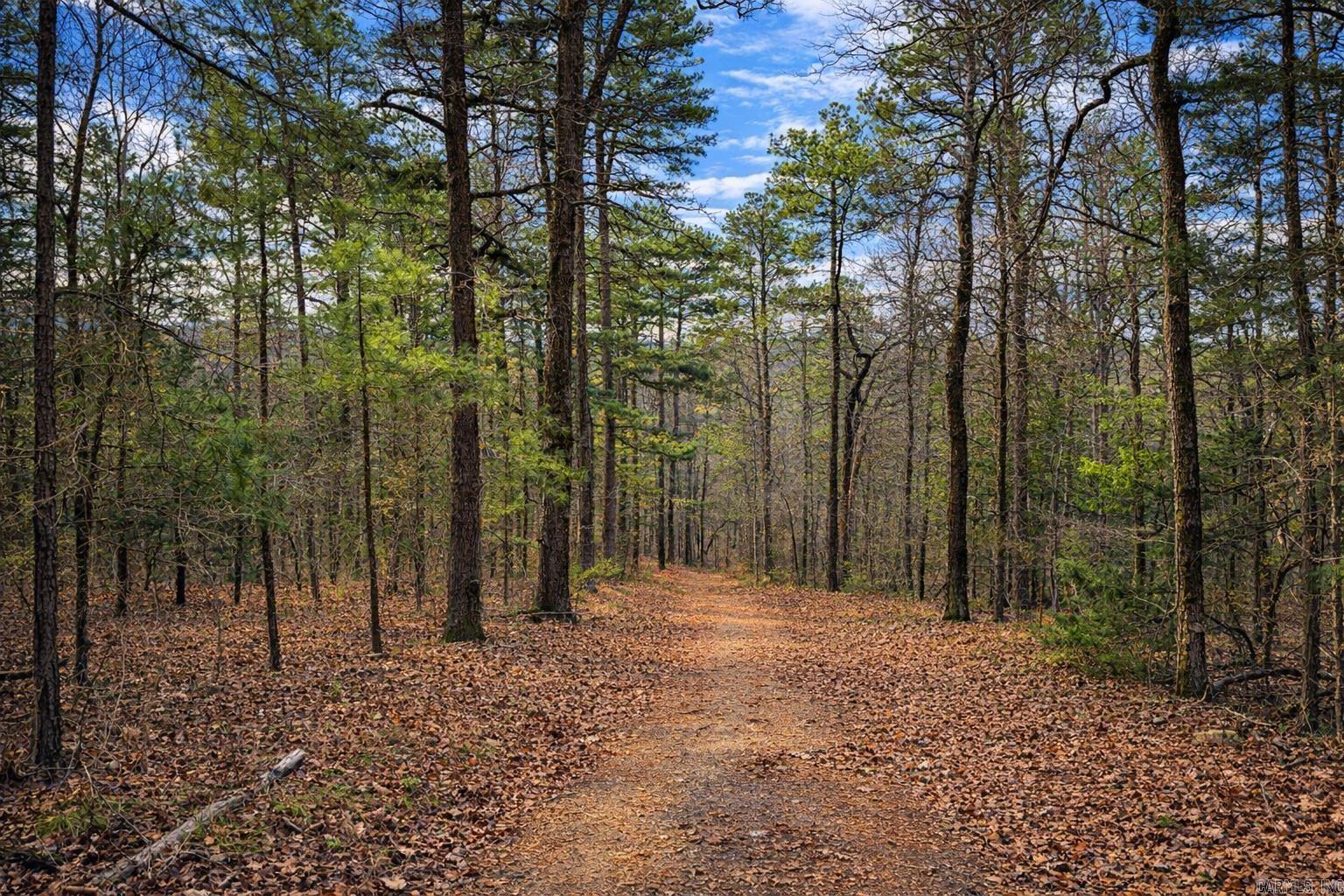 00 Ross Hollow Road Property Photo 6