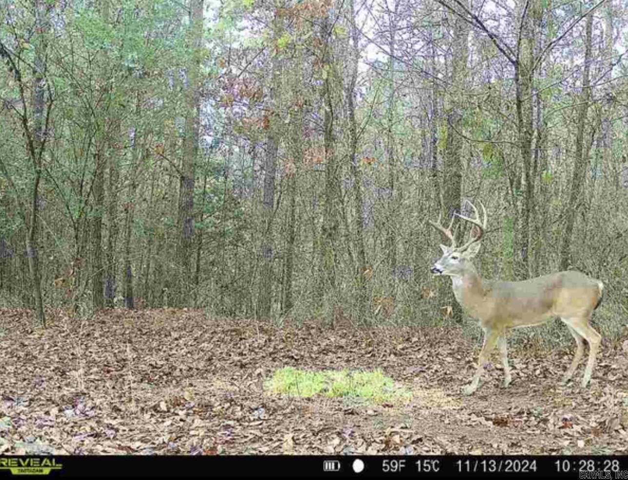 00 Ross Hollow Road Property Photo 16