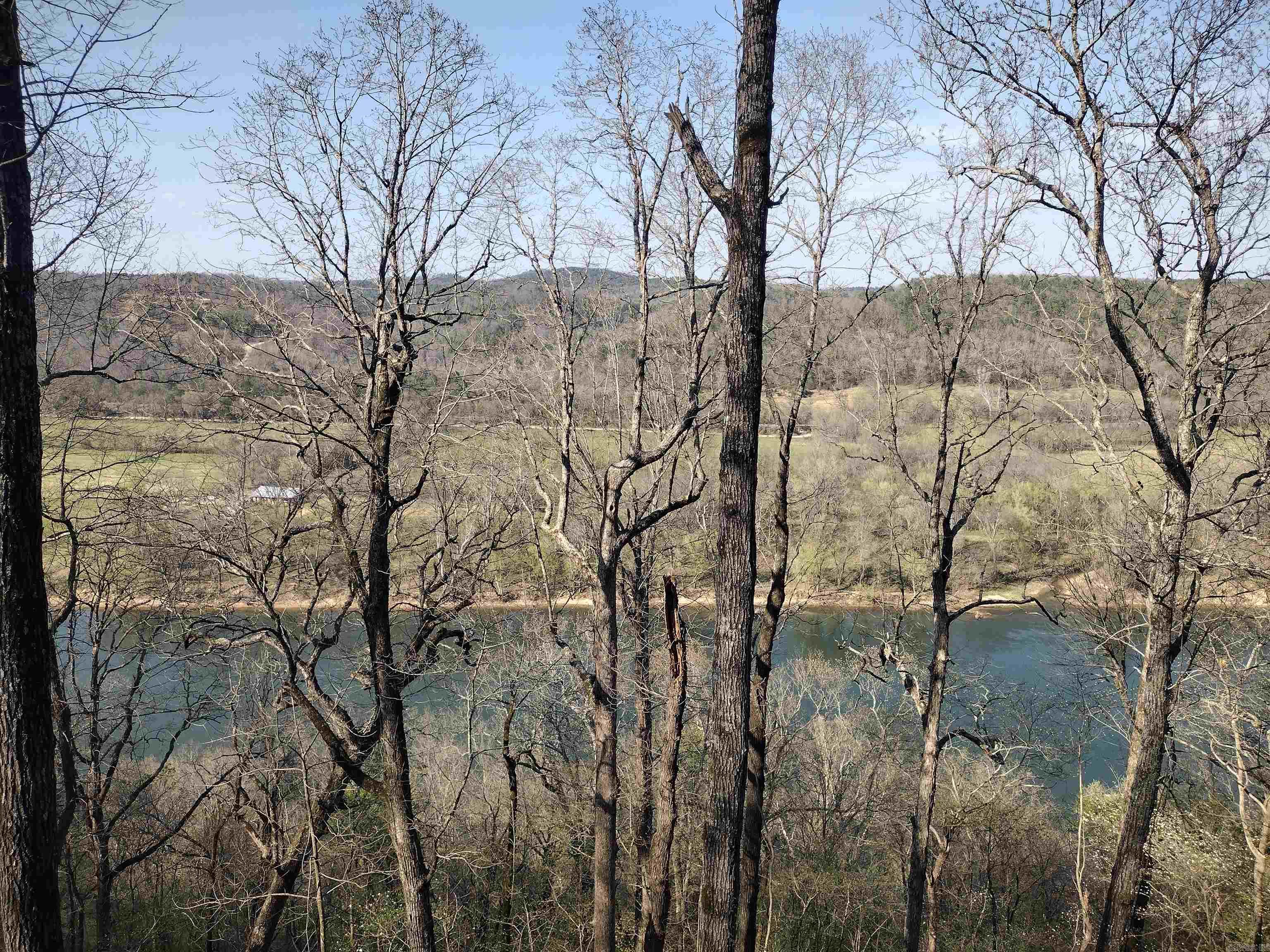1444 Forest Home Ln Property Photo 32