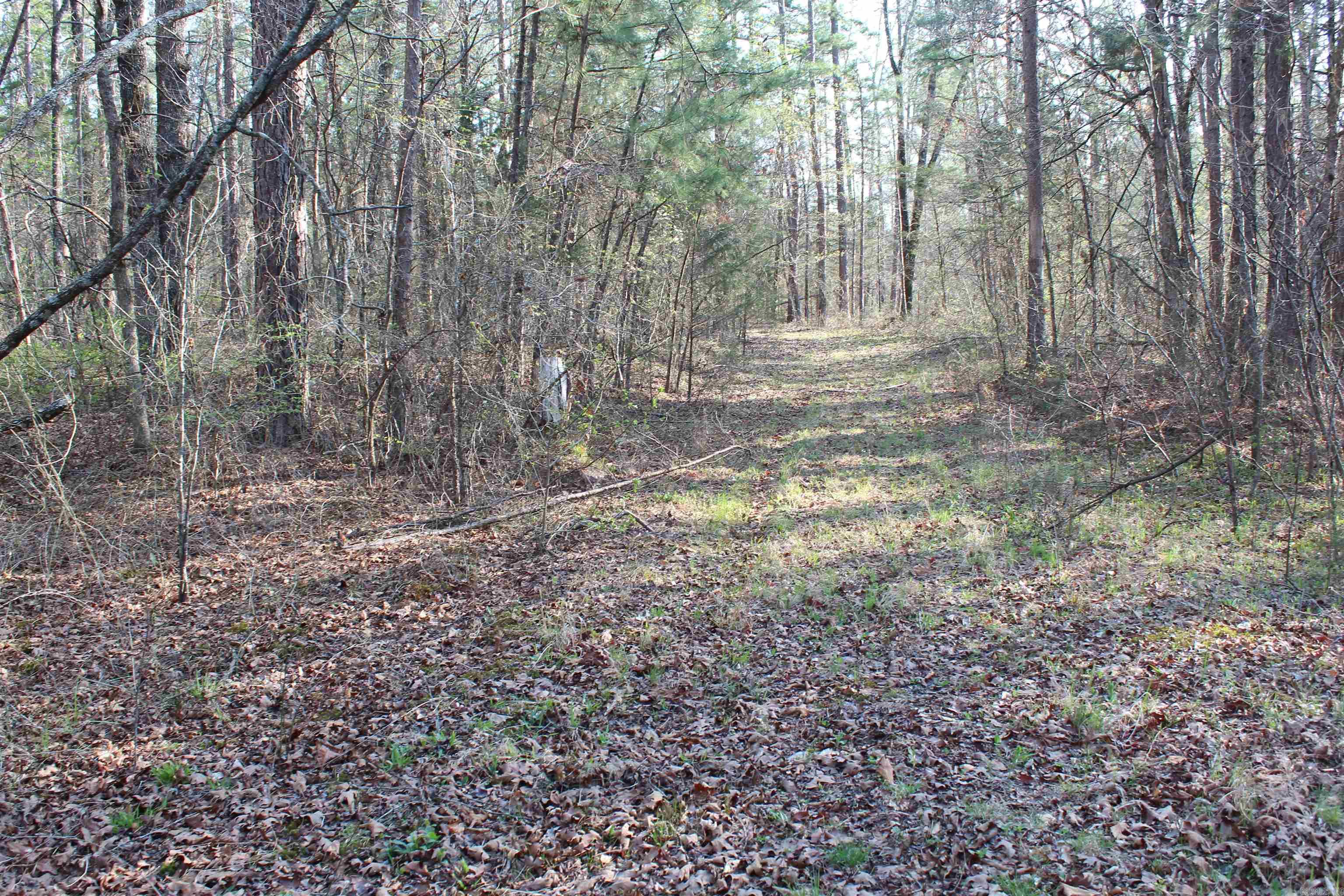 159 Gray Property Photo 25
