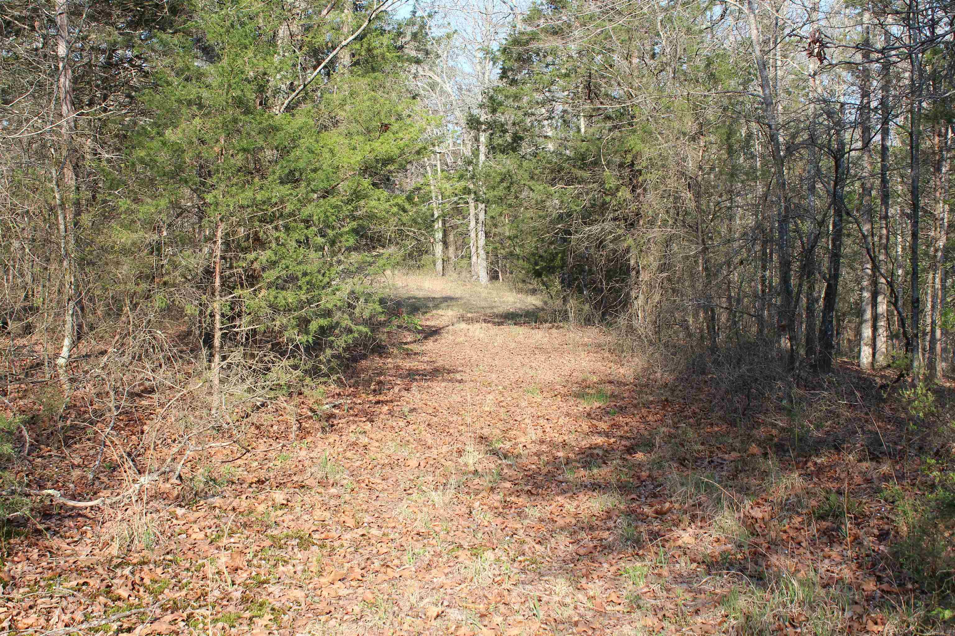 159 Gray Property Photo 29