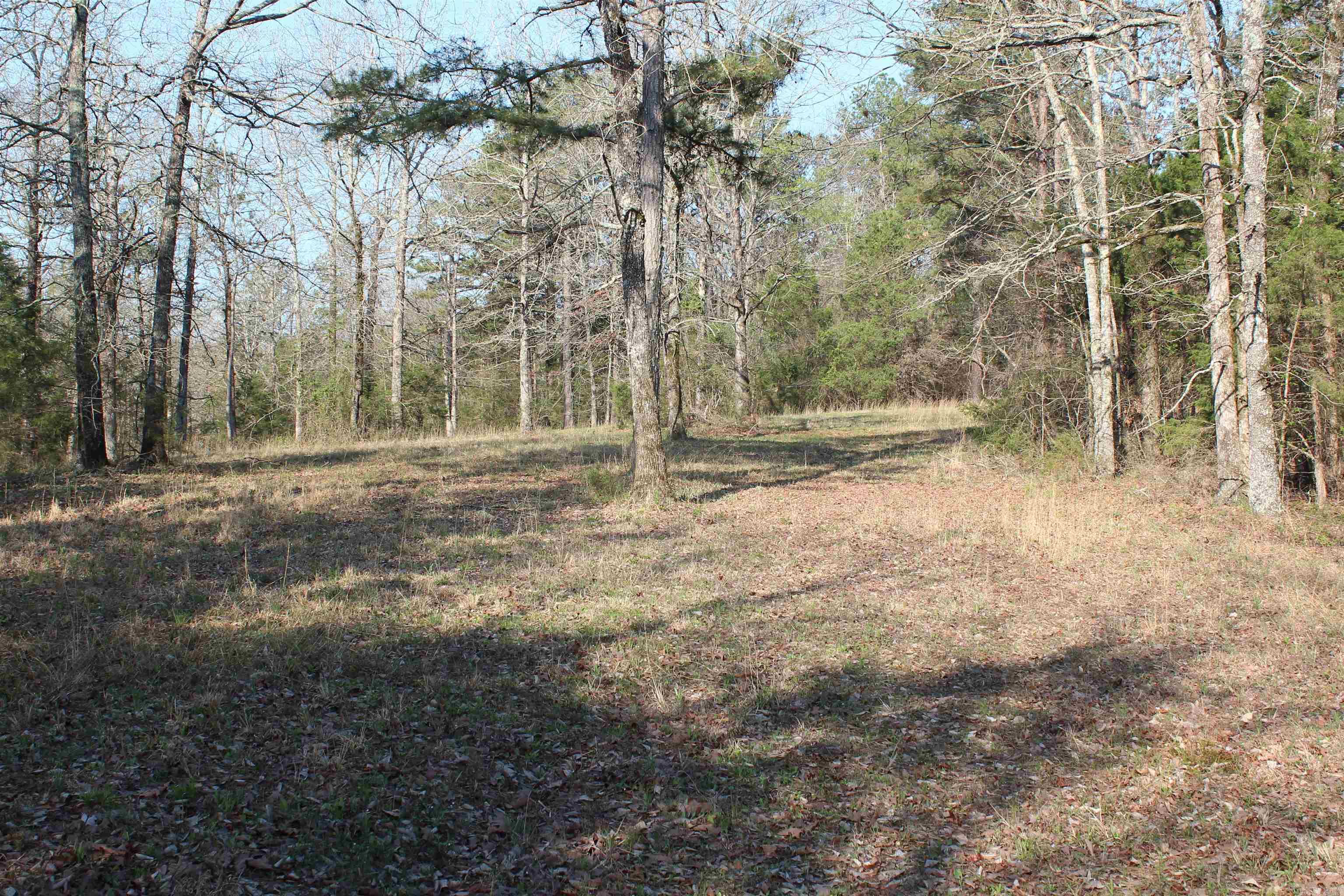 159 Gray Property Photo 30