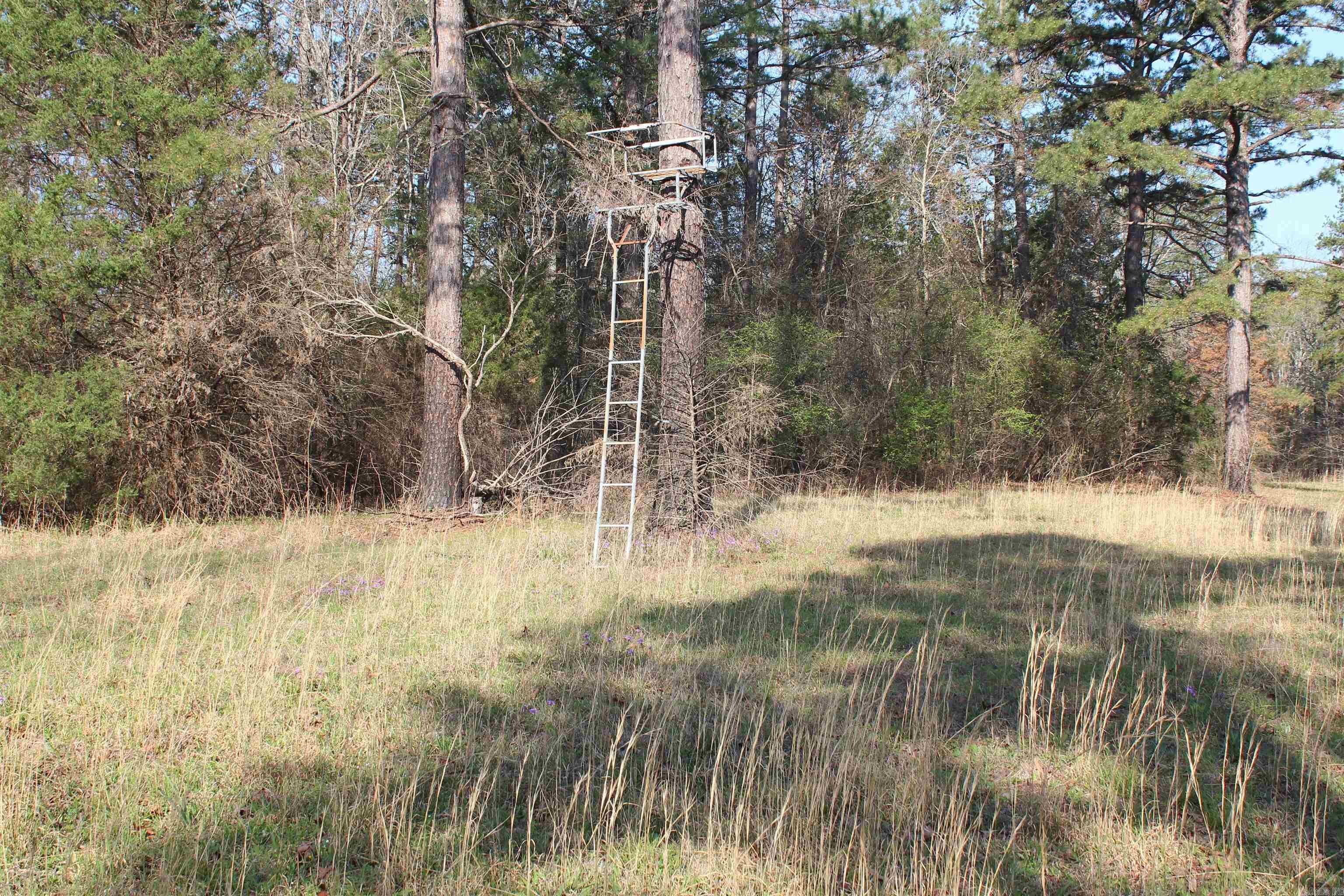 159 Gray Property Photo 31