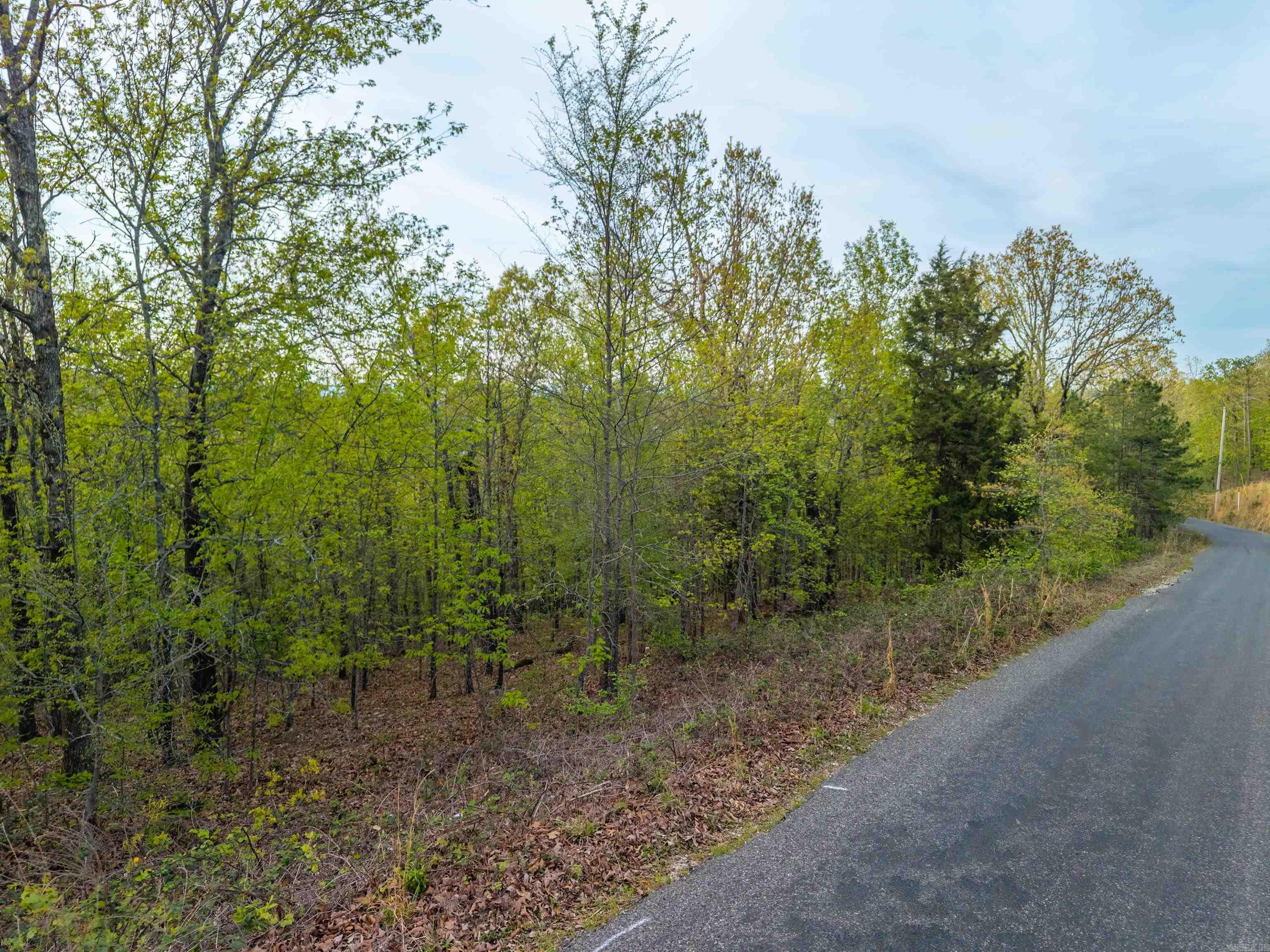 Tbd Northlake Cove Property Photo 17