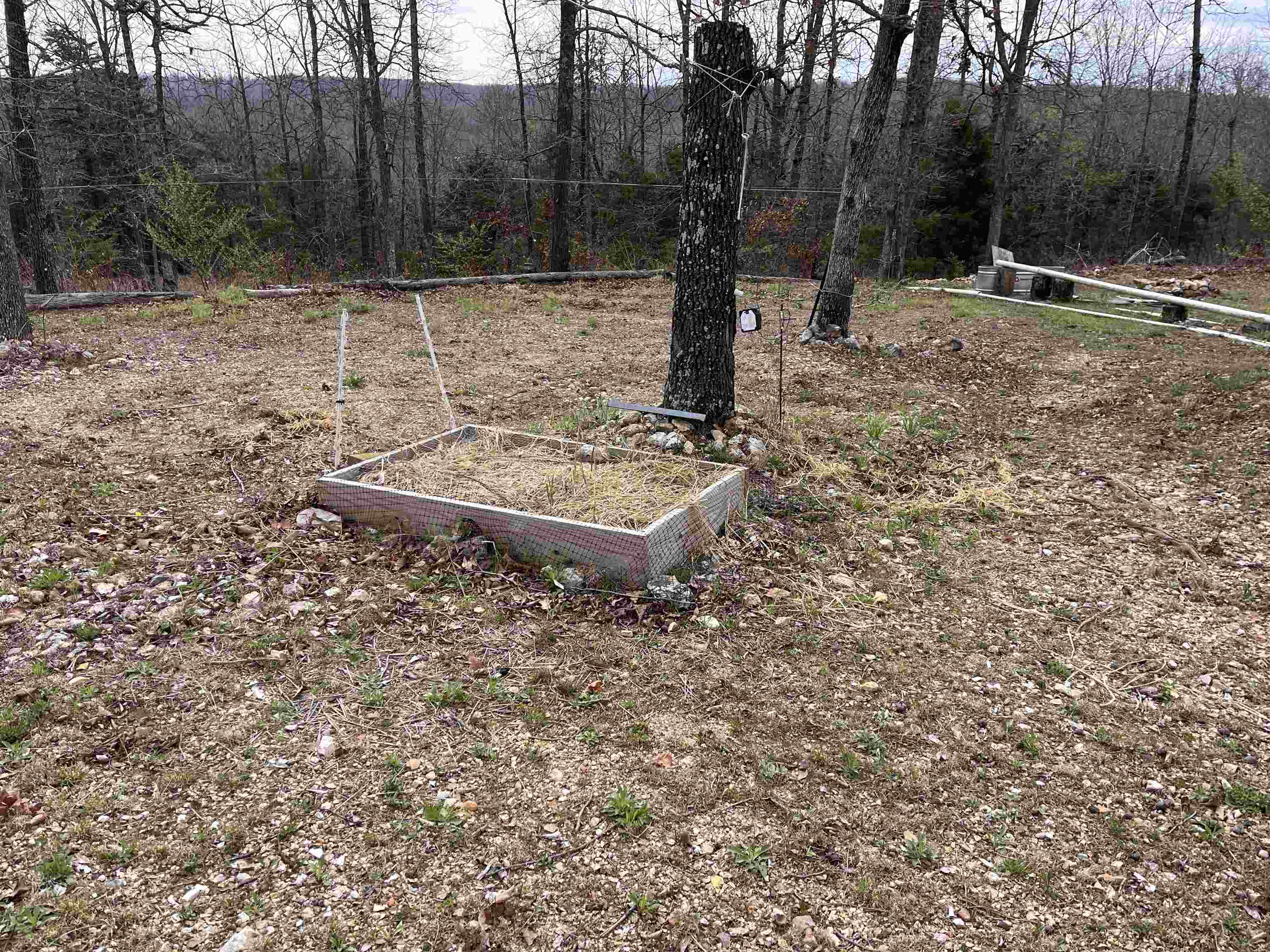 1170 County Road 255 Property Photo 25