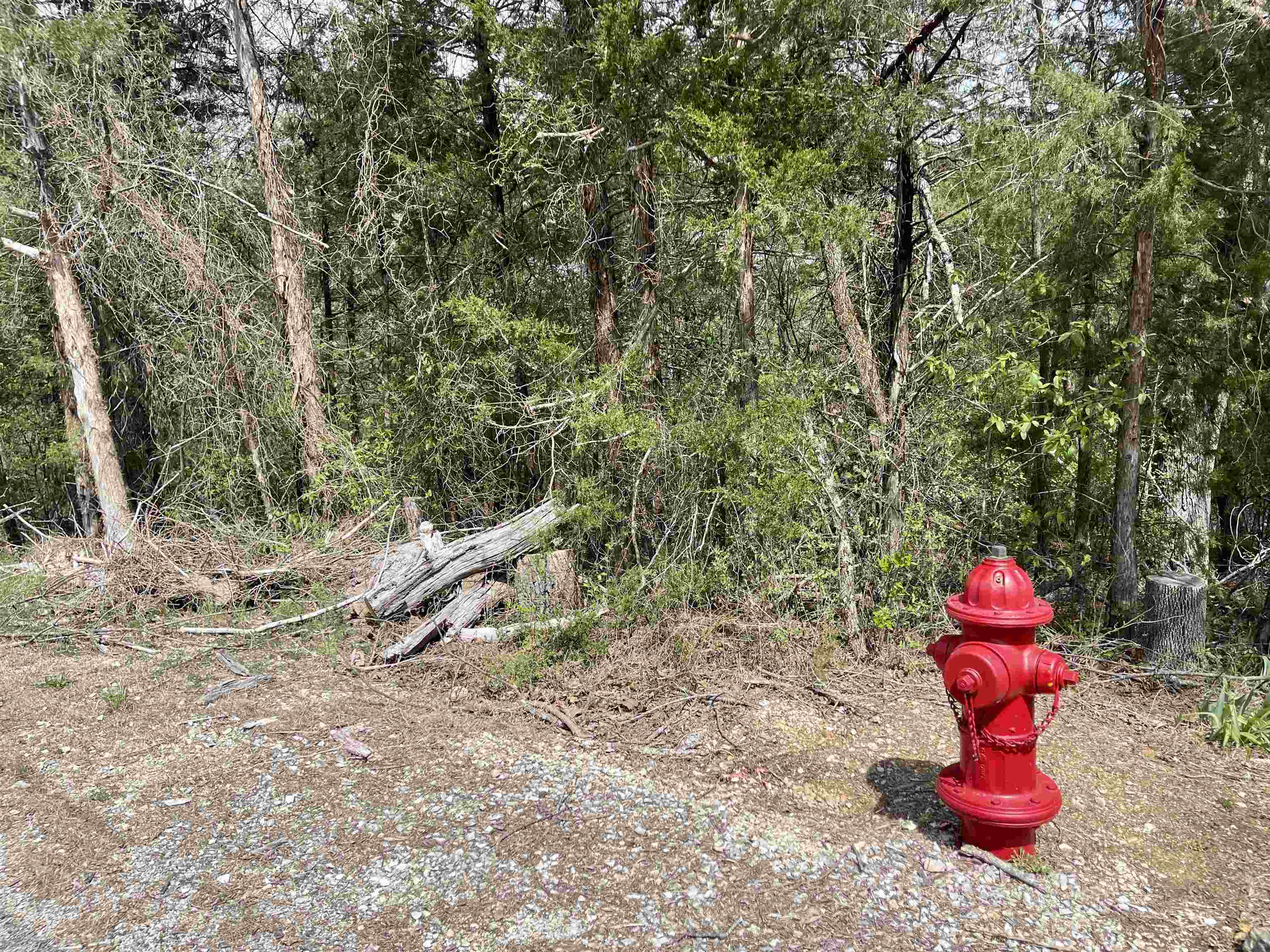 88 Isleta Drive Property Photo 12