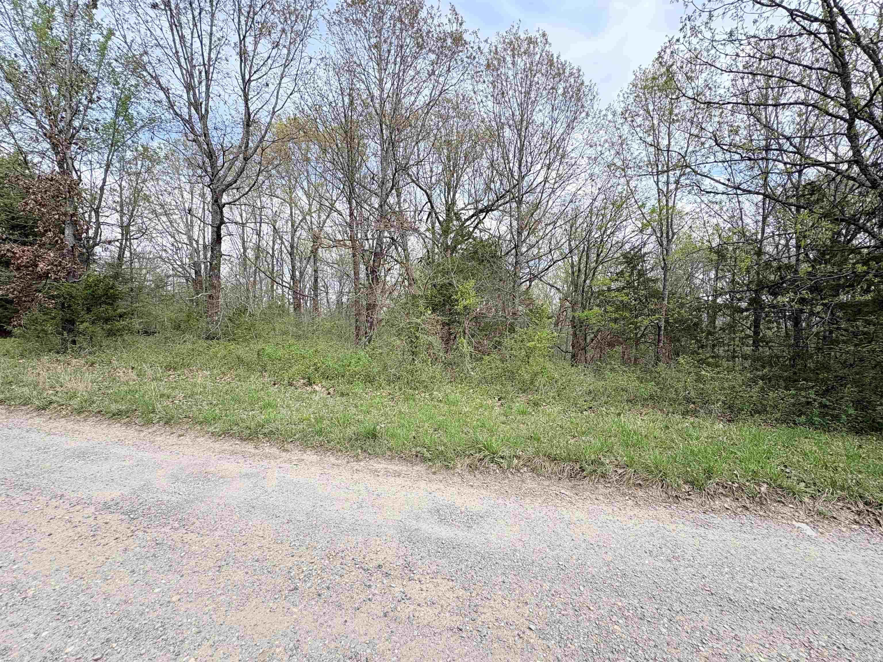 42 Clay 43 Road Property Photo 2
