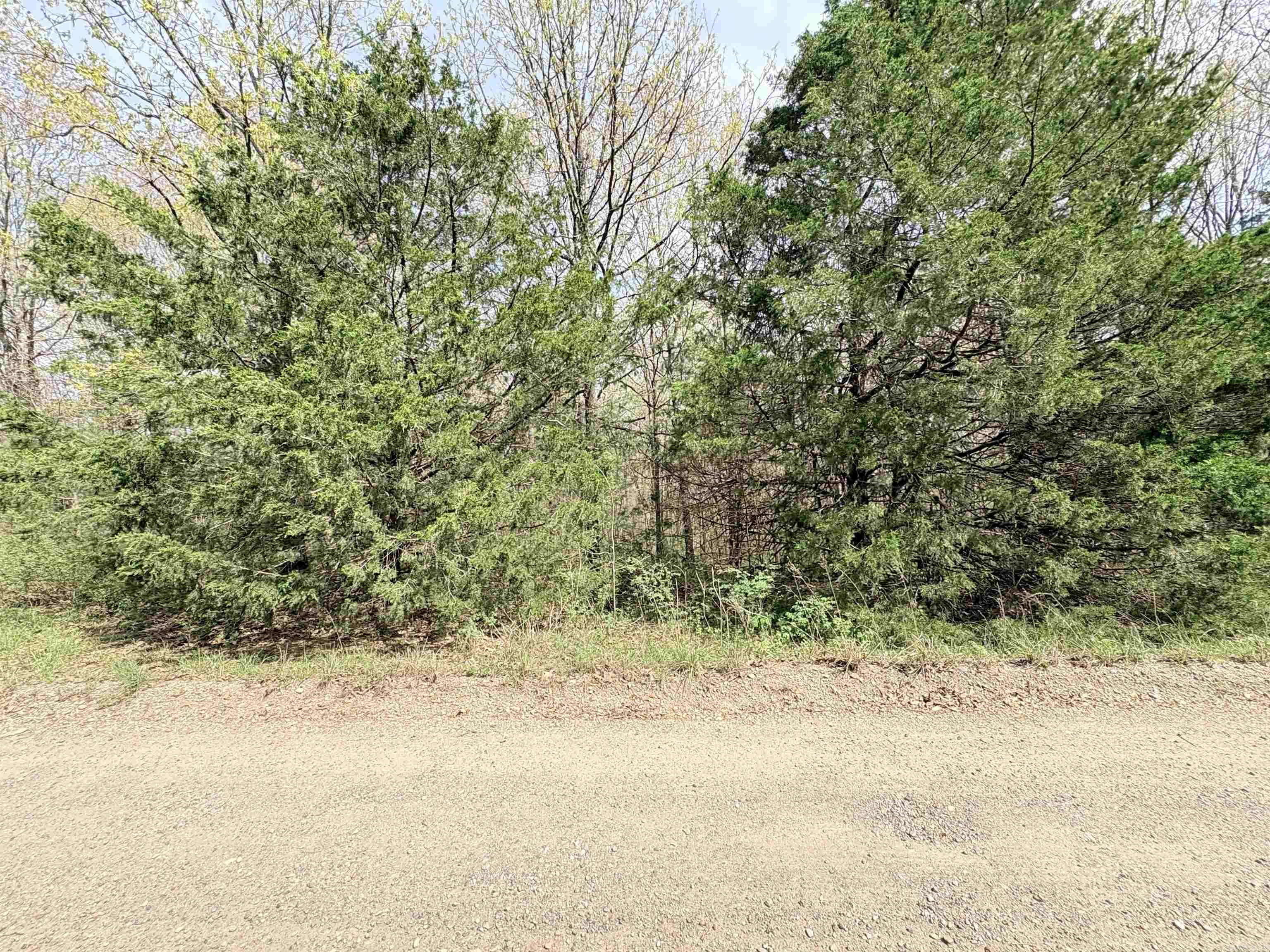 42 Clay 43 Road Property Photo 4