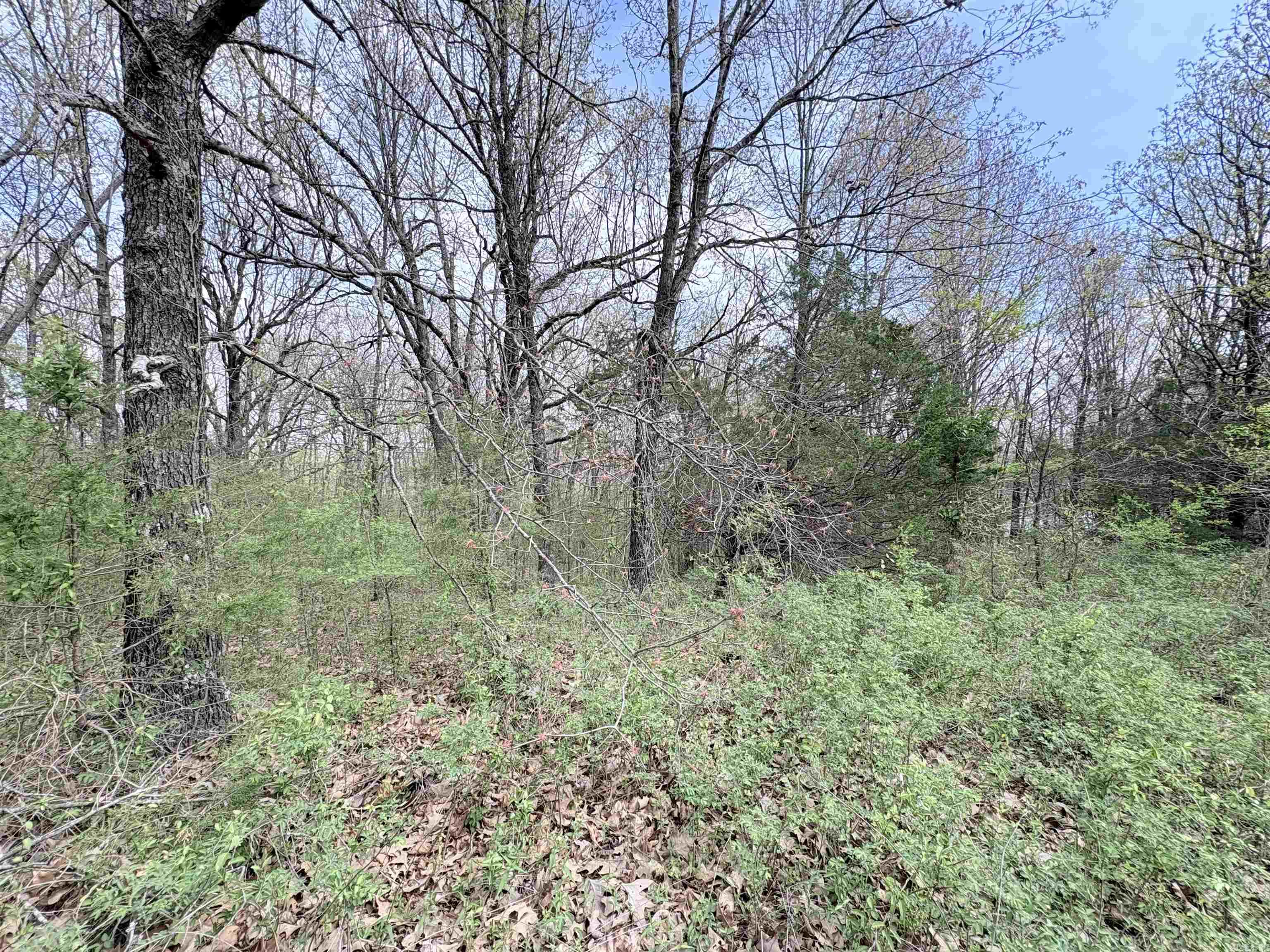 42 Clay 43 Road Property Photo 5
