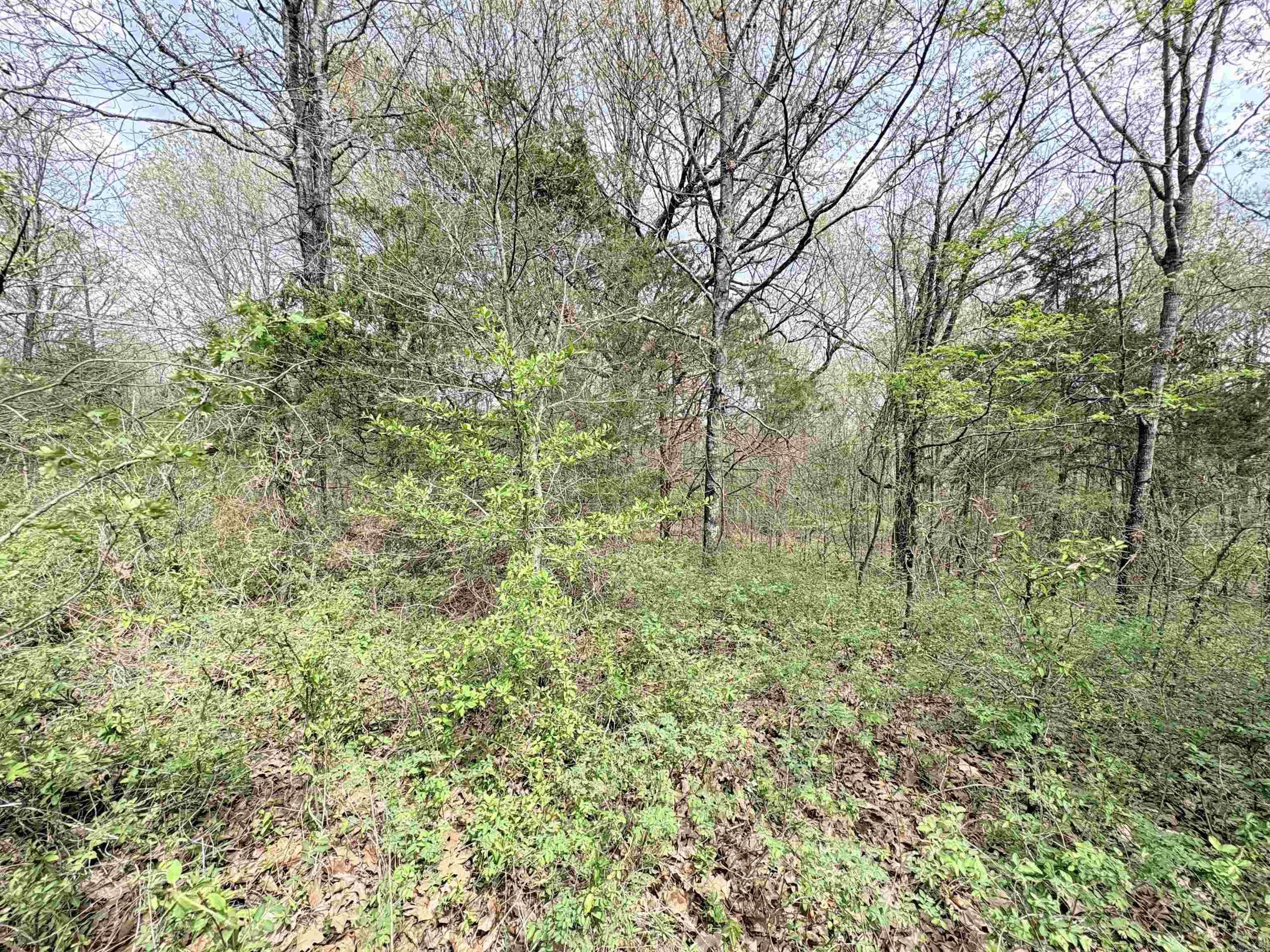 42 Clay 43 Road Property Photo 6
