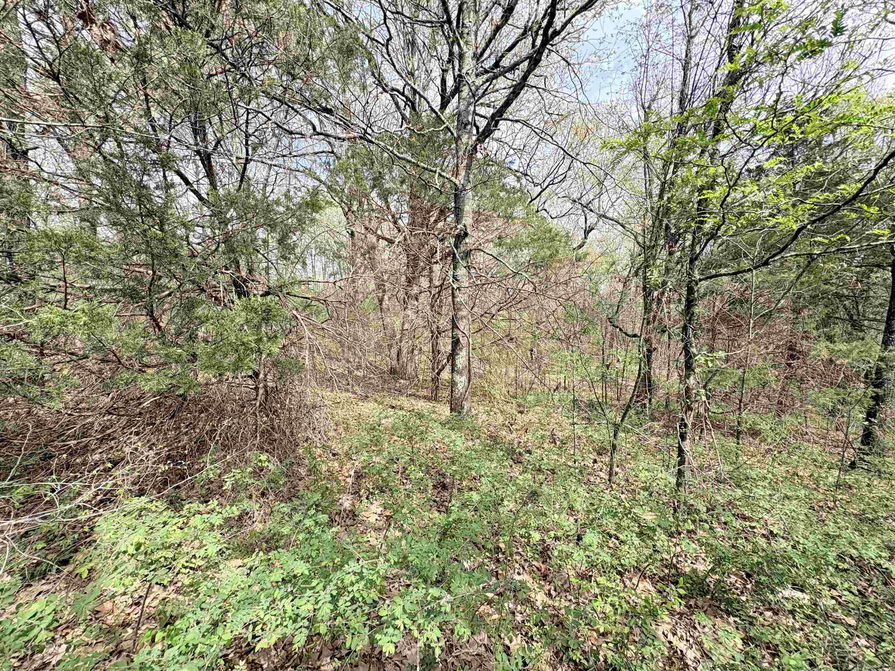 42 Clay 43 Road Property Photo 7