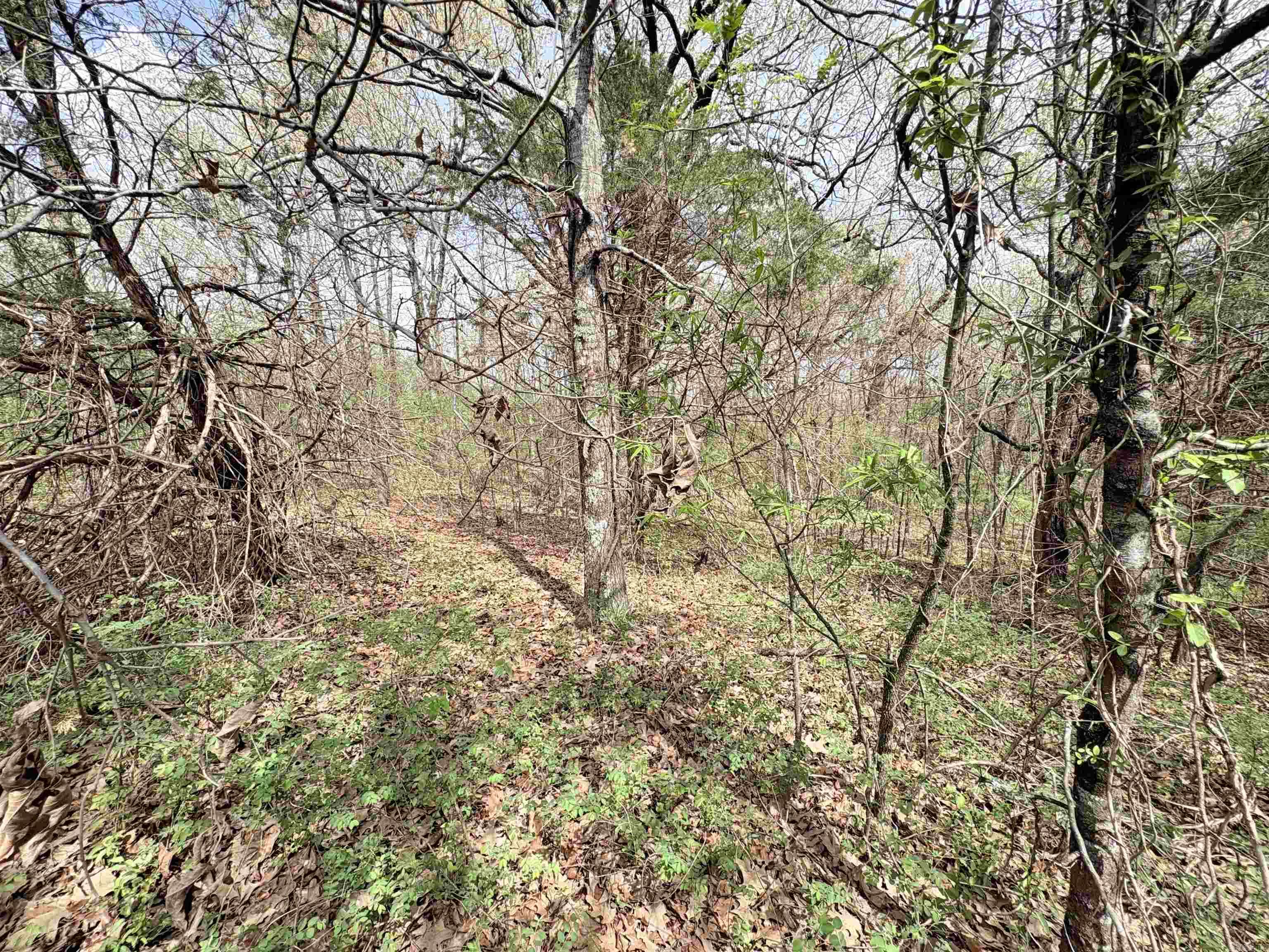 42 Clay 43 Road Property Photo 8