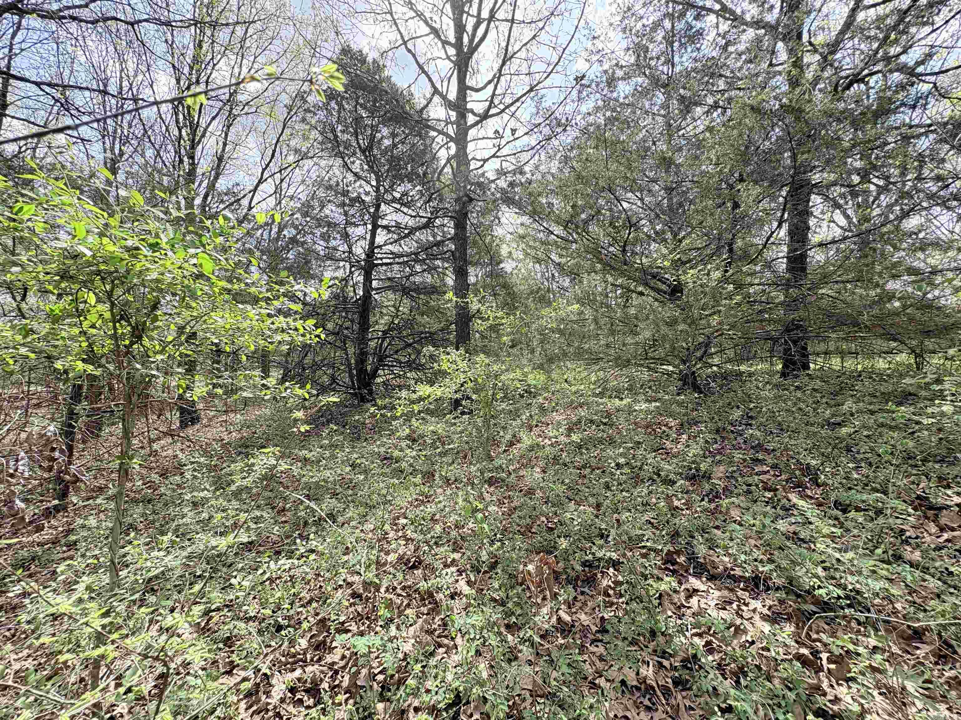 42 Clay 43 Road Property Photo 9