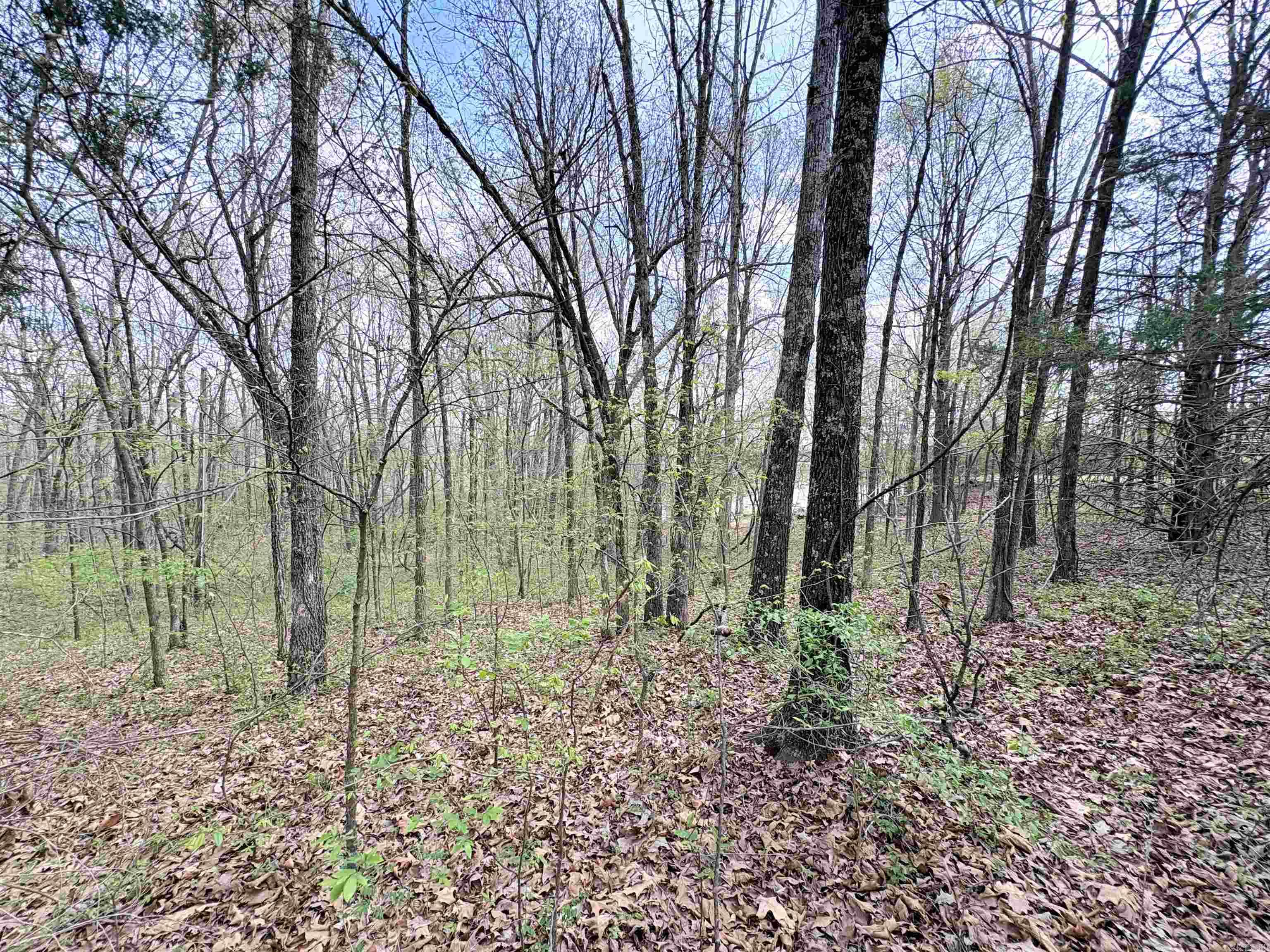 42 Clay 43 Road Property Photo 10