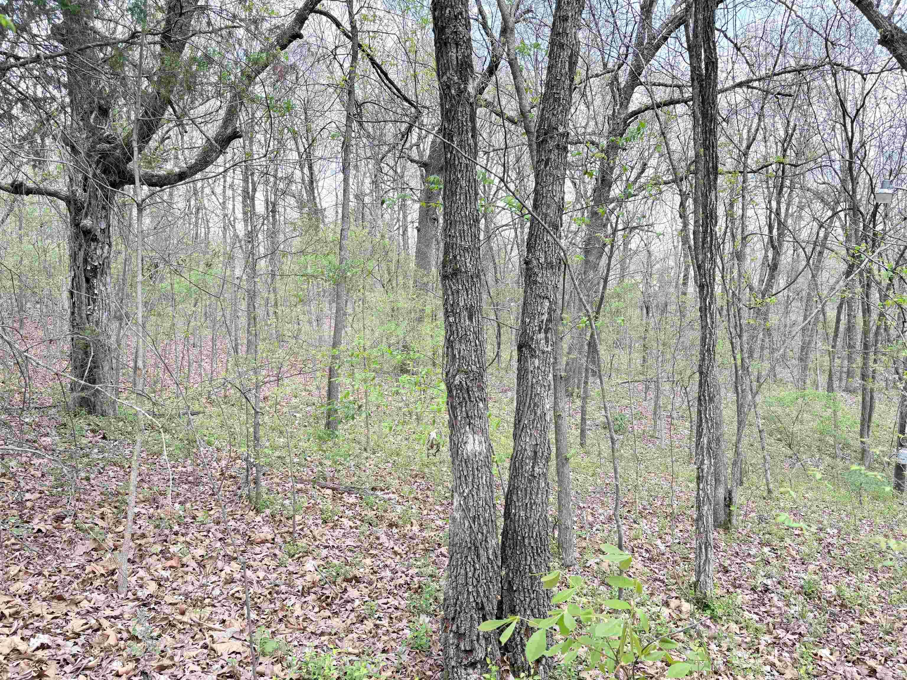42 Clay 43 Road Property Photo 12