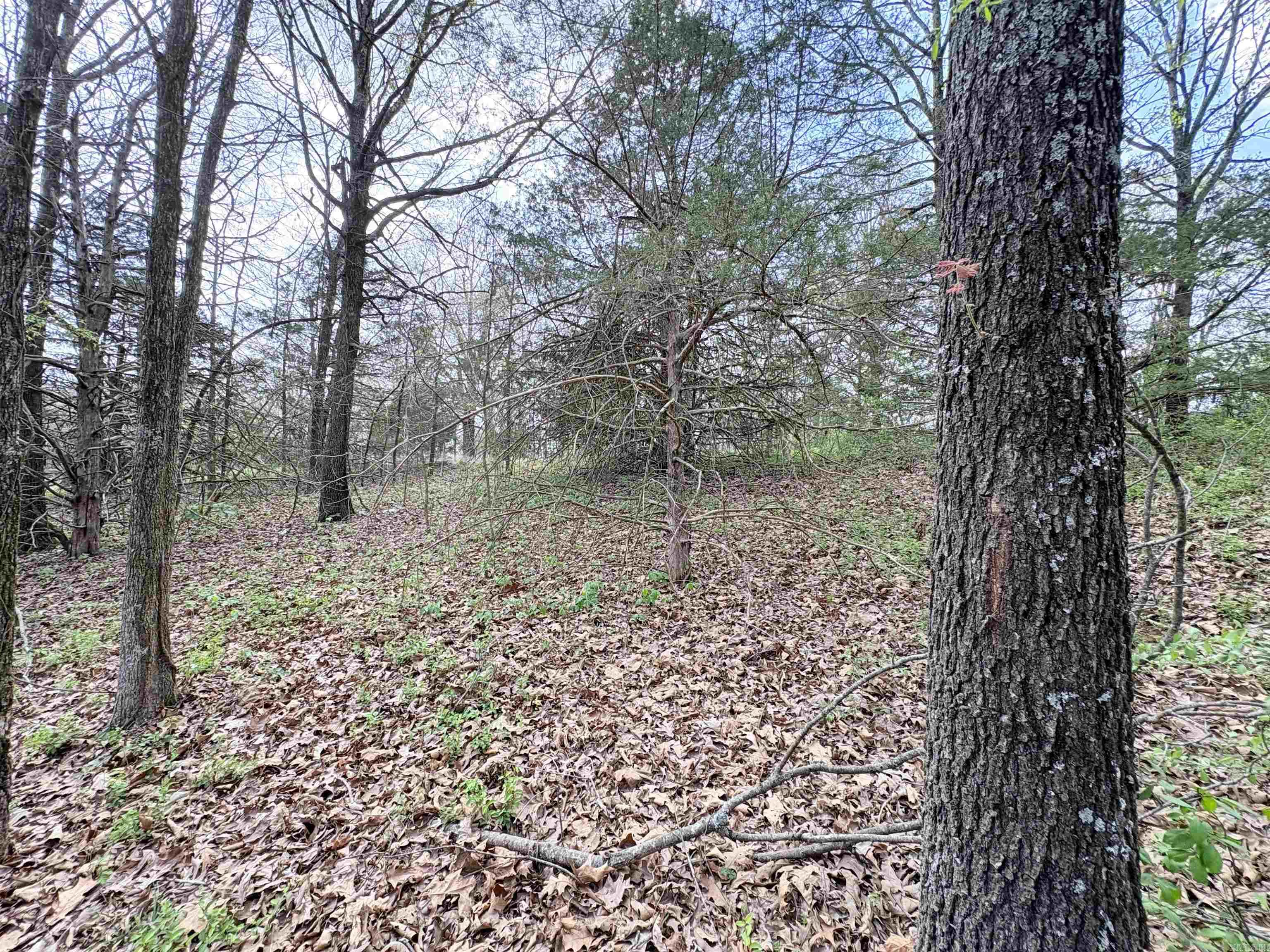 42 Clay 43 Road Property Photo 13