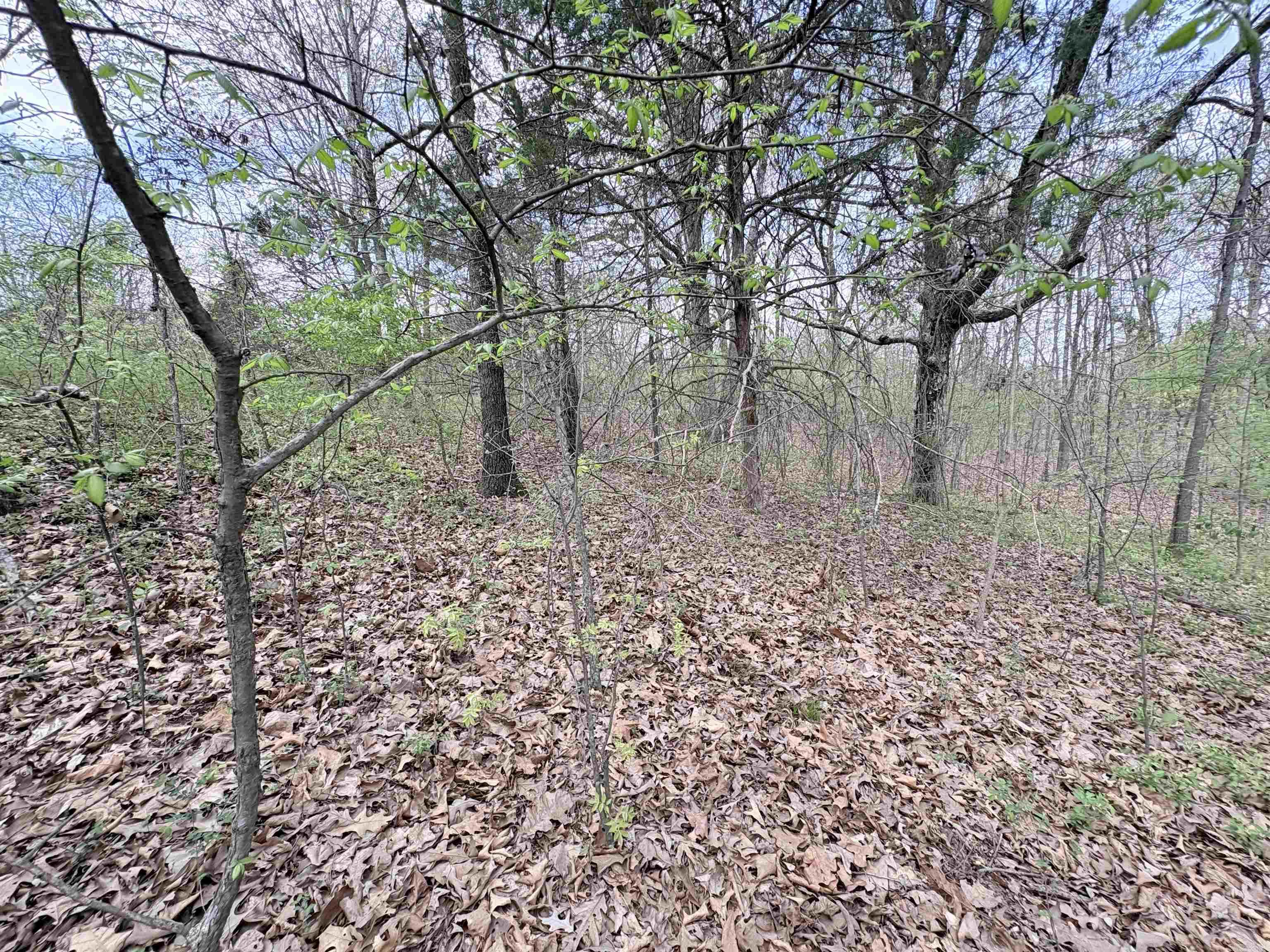 42 Clay 43 Road Property Photo 14