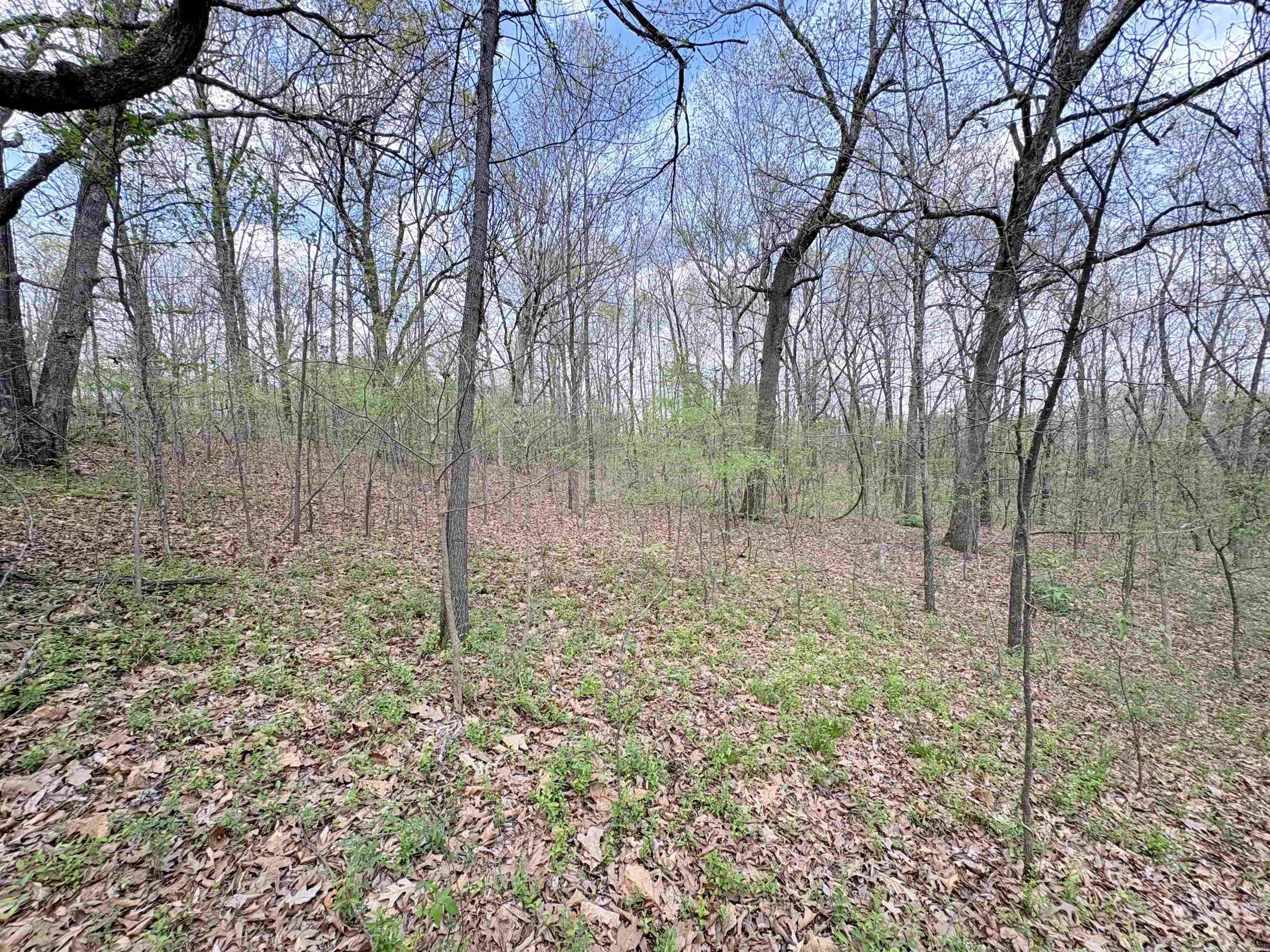 42 Clay 43 Road Property Photo 15