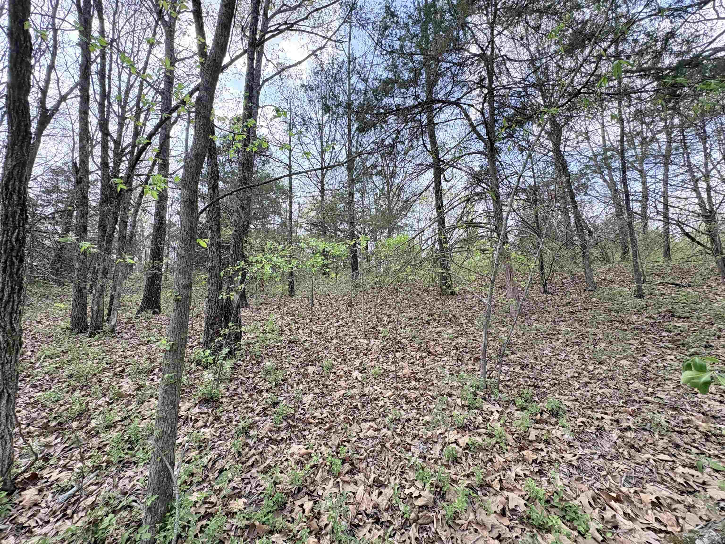42 Clay 43 Road Property Photo 16