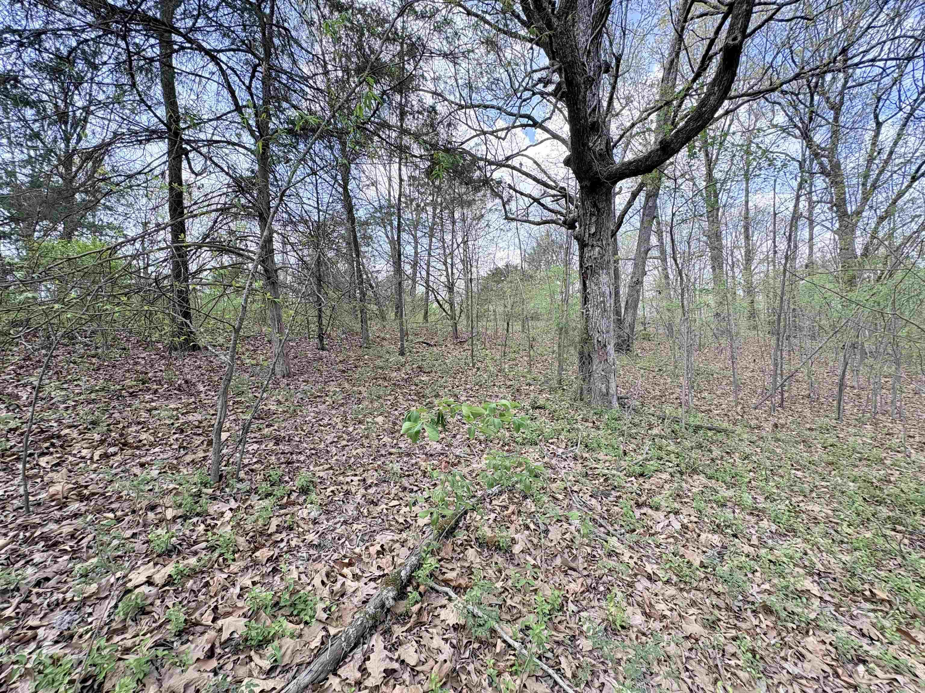 42 Clay 43 Road Property Photo 17