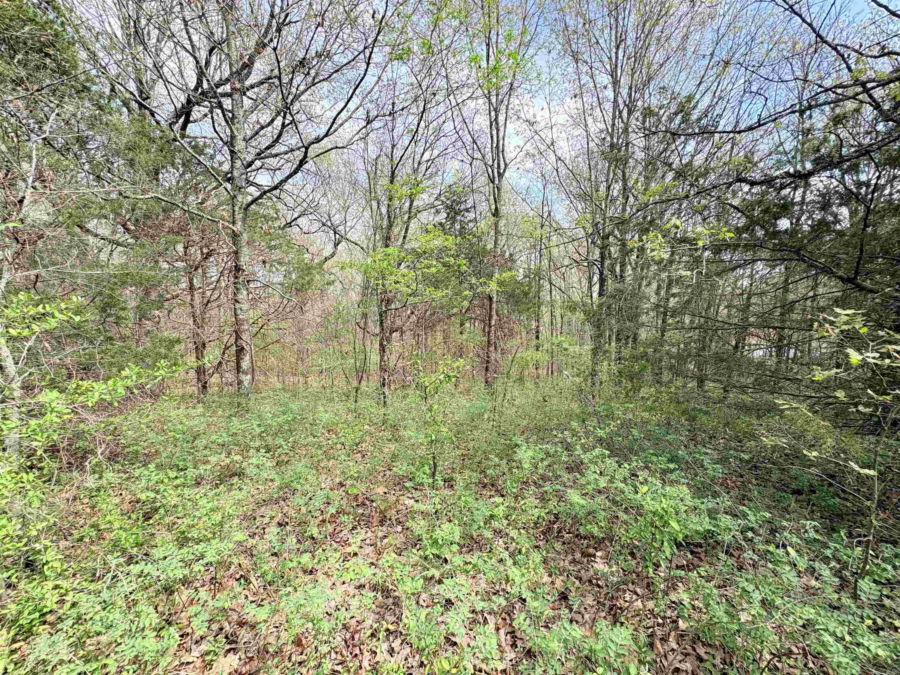 42 Clay 43 Road Property Photo 18