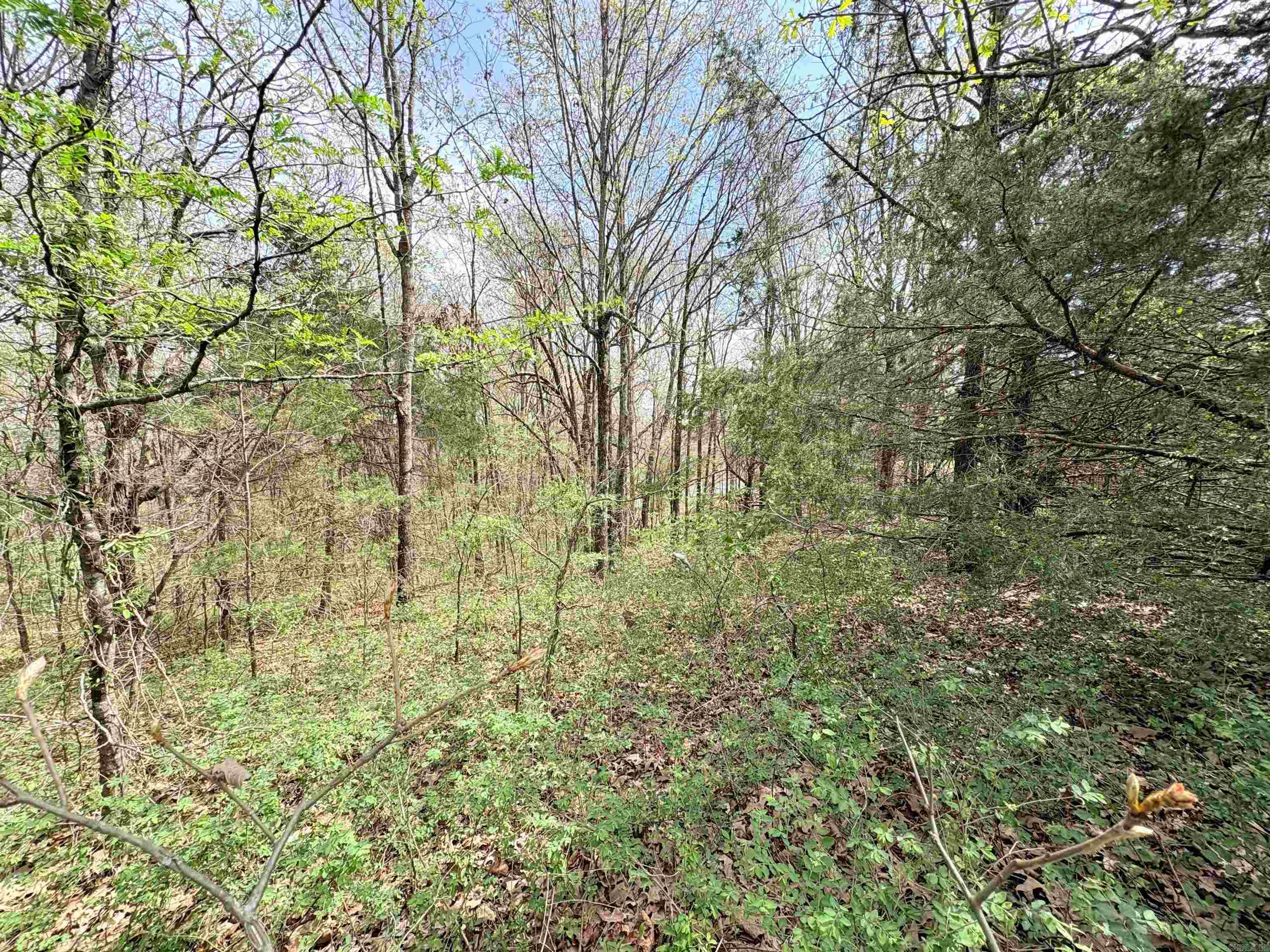 42 Clay 43 Road Property Photo 19