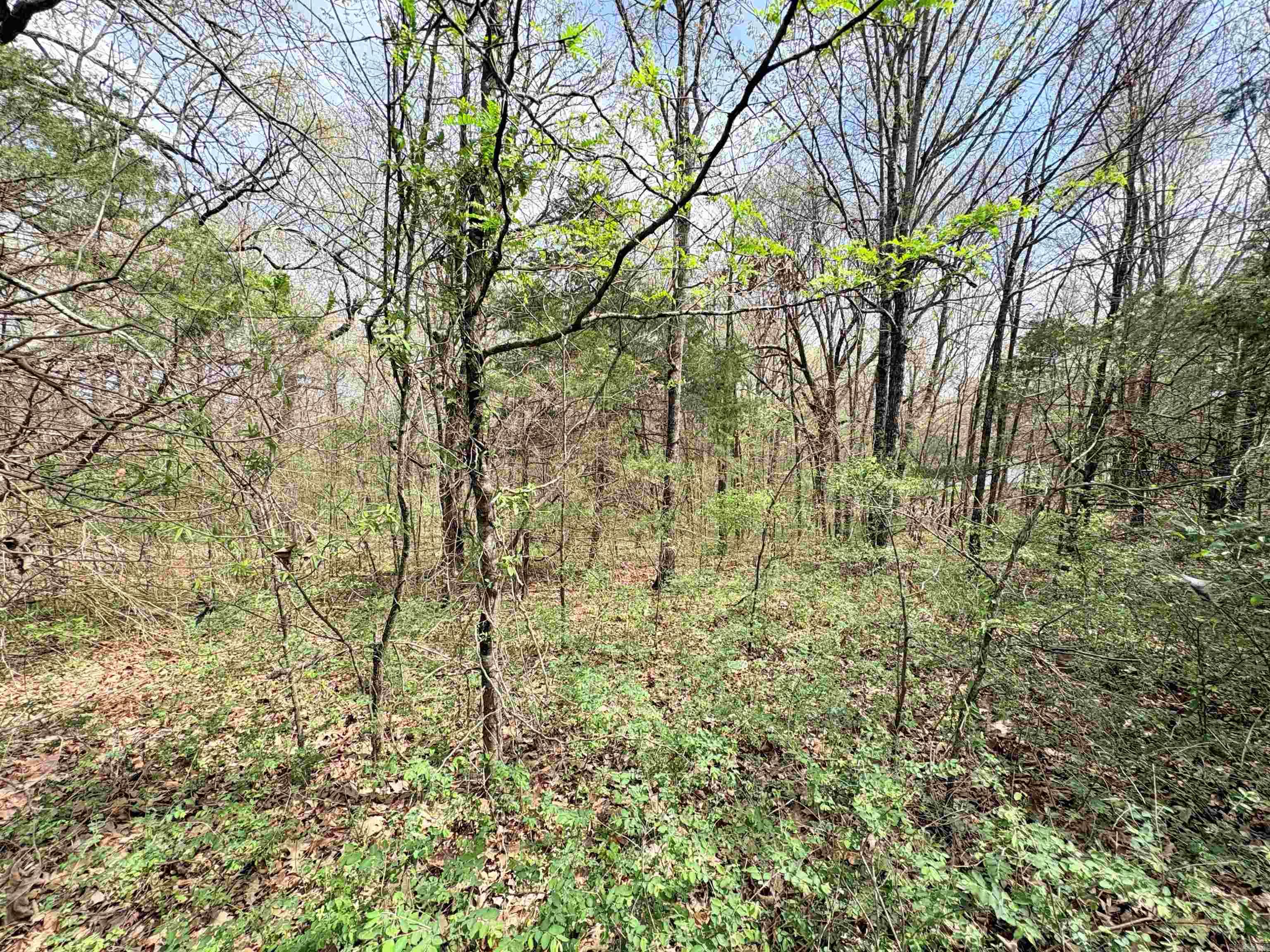 42 Clay 43 Road Property Photo 20