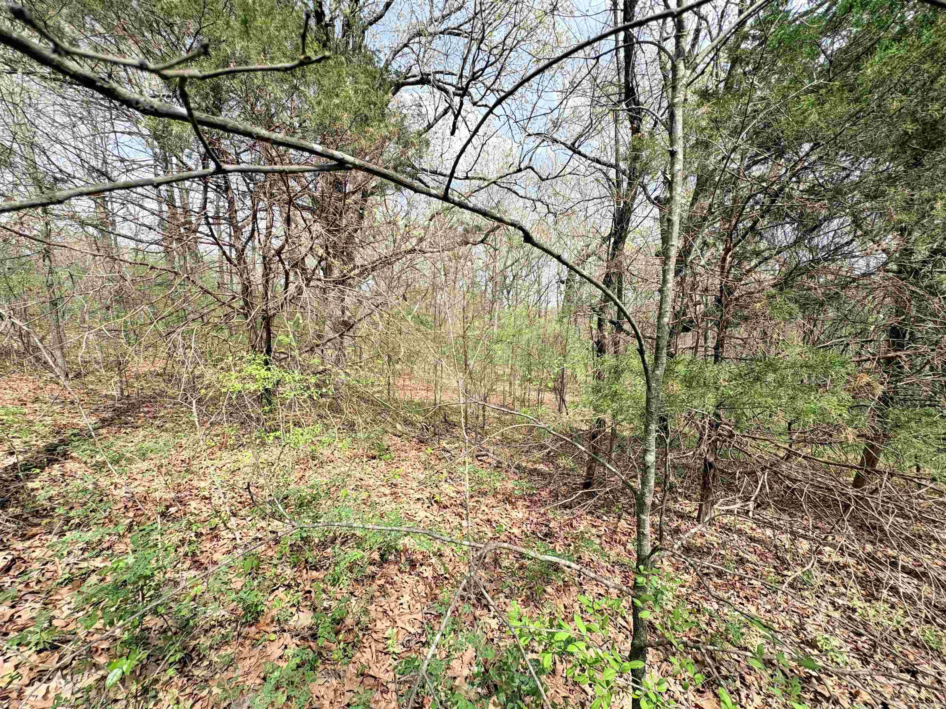 42 Clay 43 Road Property Photo 21
