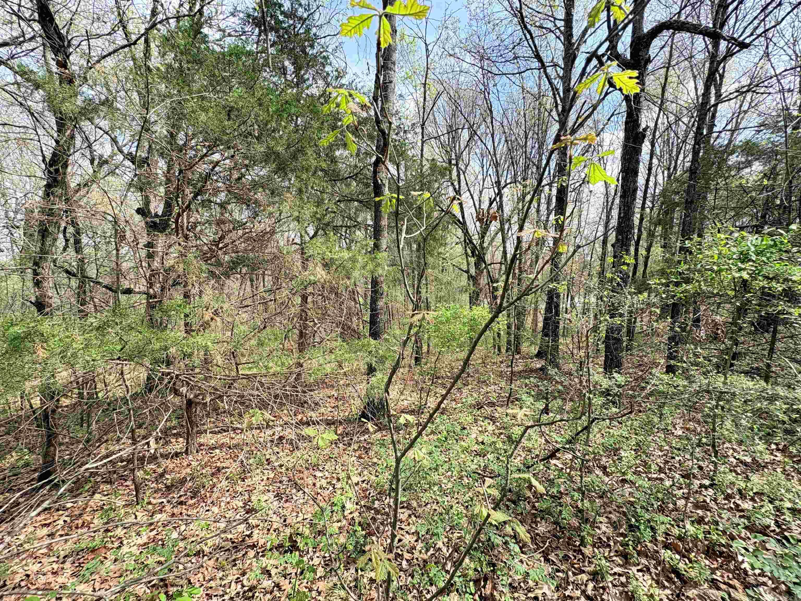 42 Clay 43 Road Property Photo 22