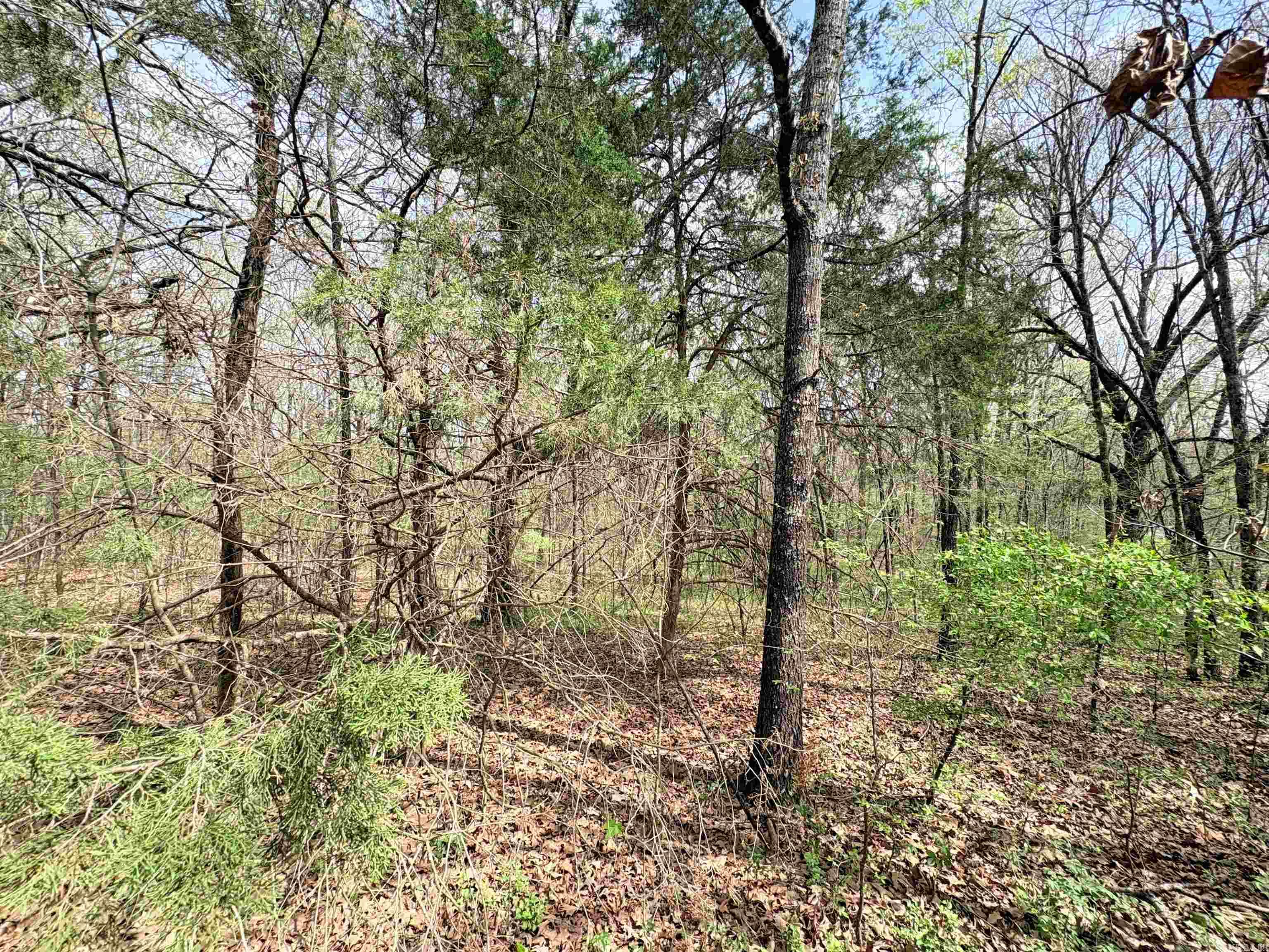42 Clay 43 Road Property Photo 23