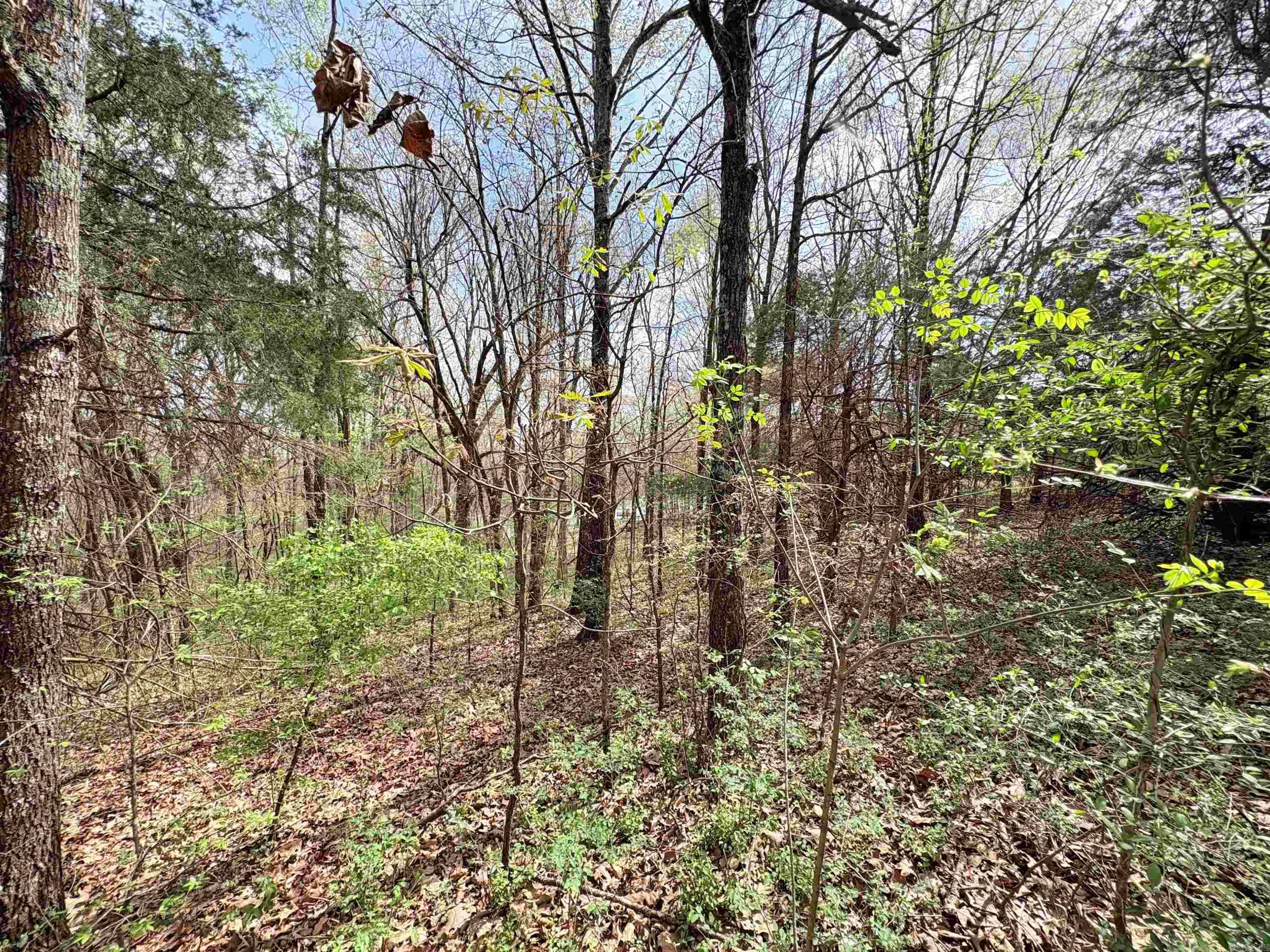 42 Clay 43 Road Property Photo 24