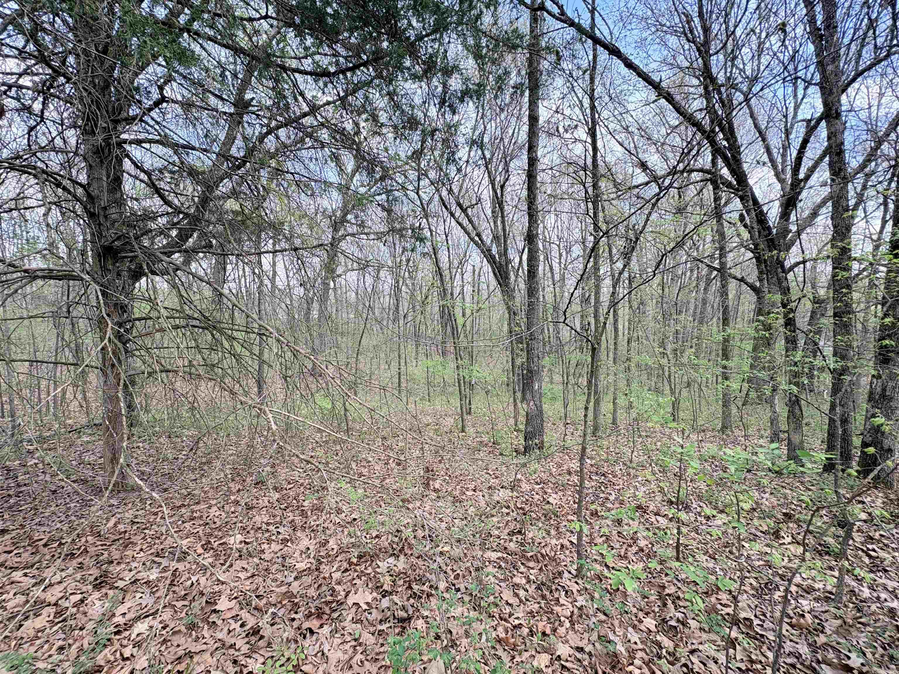 42 Clay 43 Road Property Photo 25