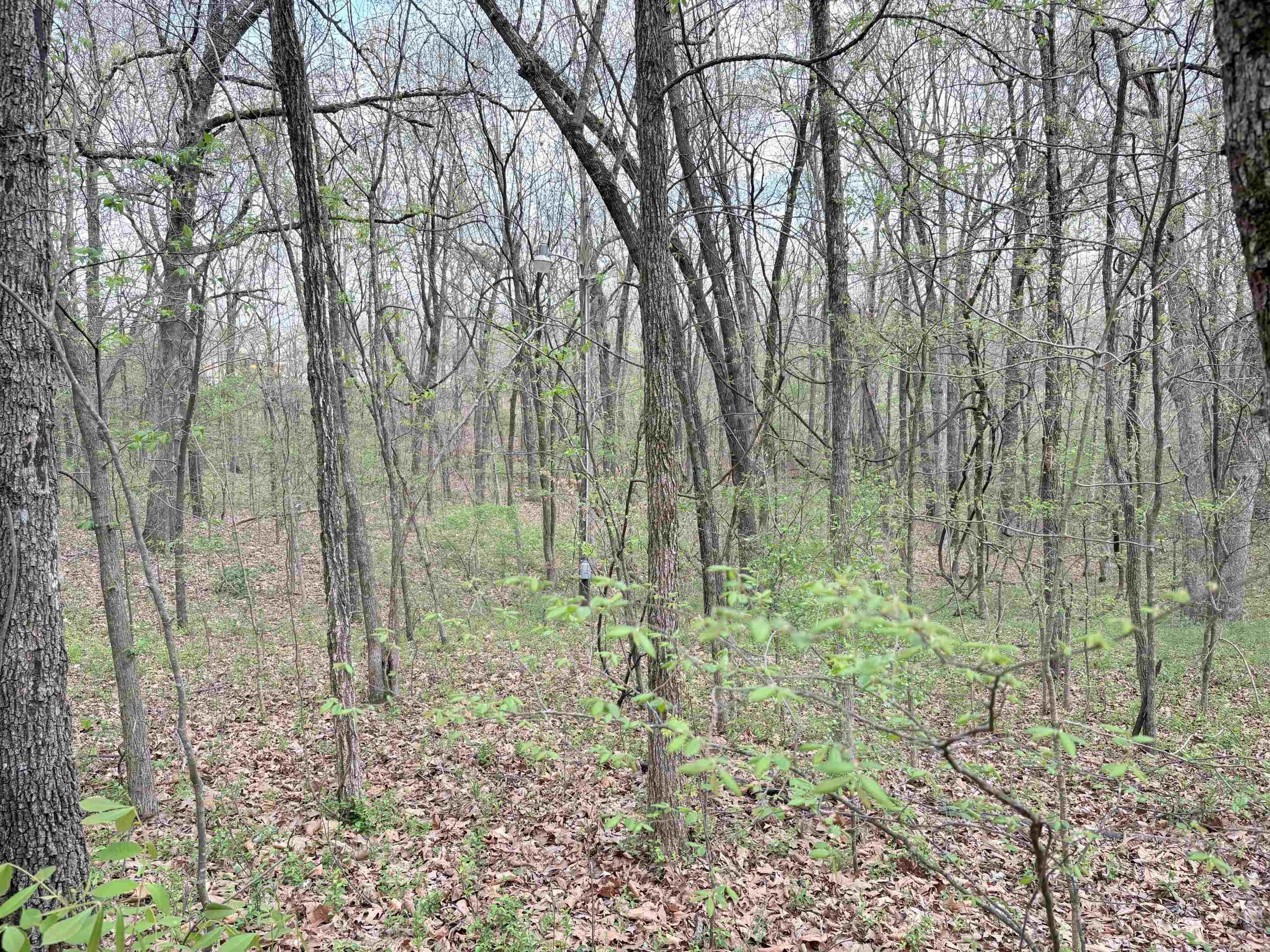 42 Clay 43 Road Property Photo 26
