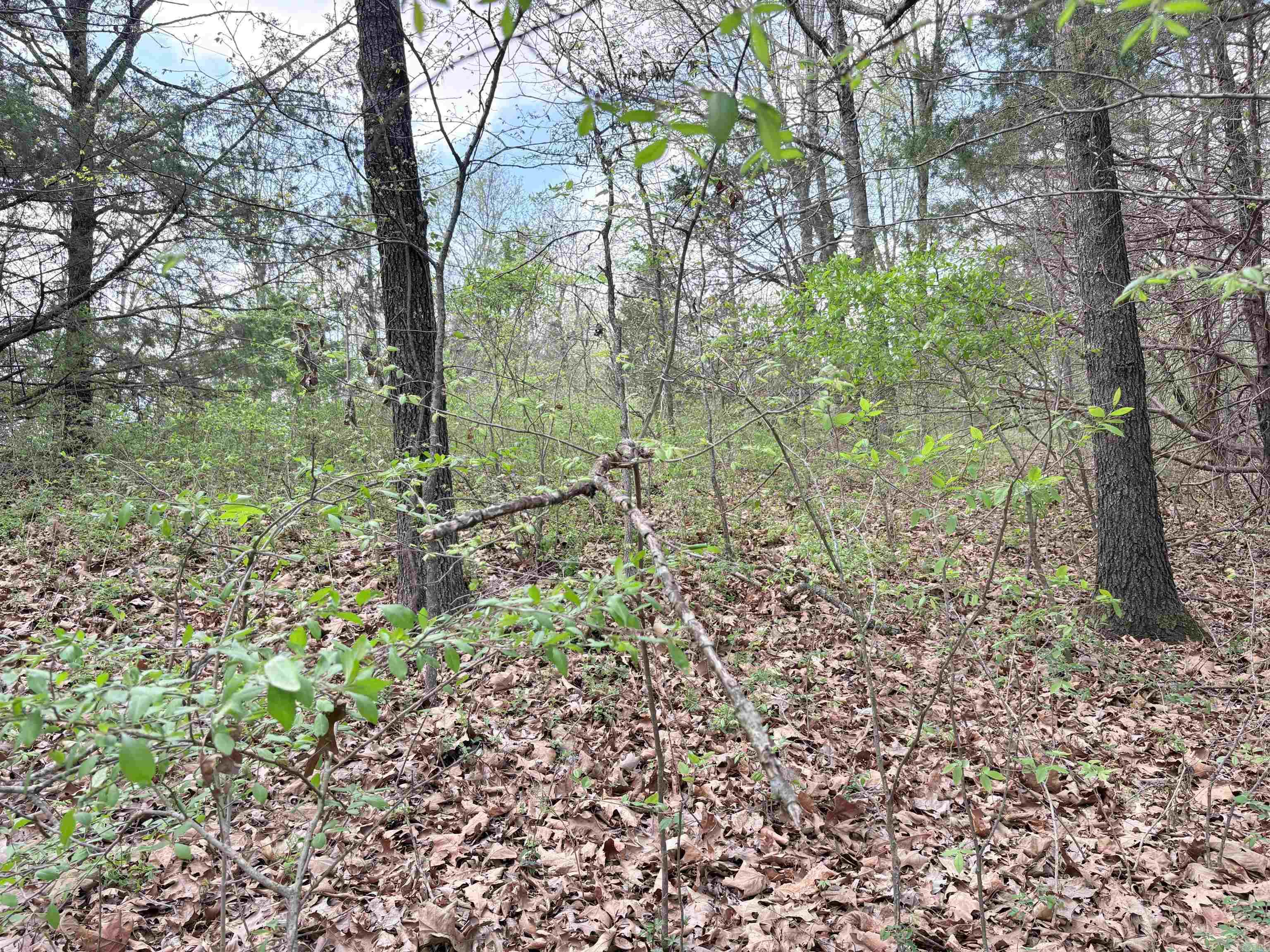 42 Clay 43 Road Property Photo 27