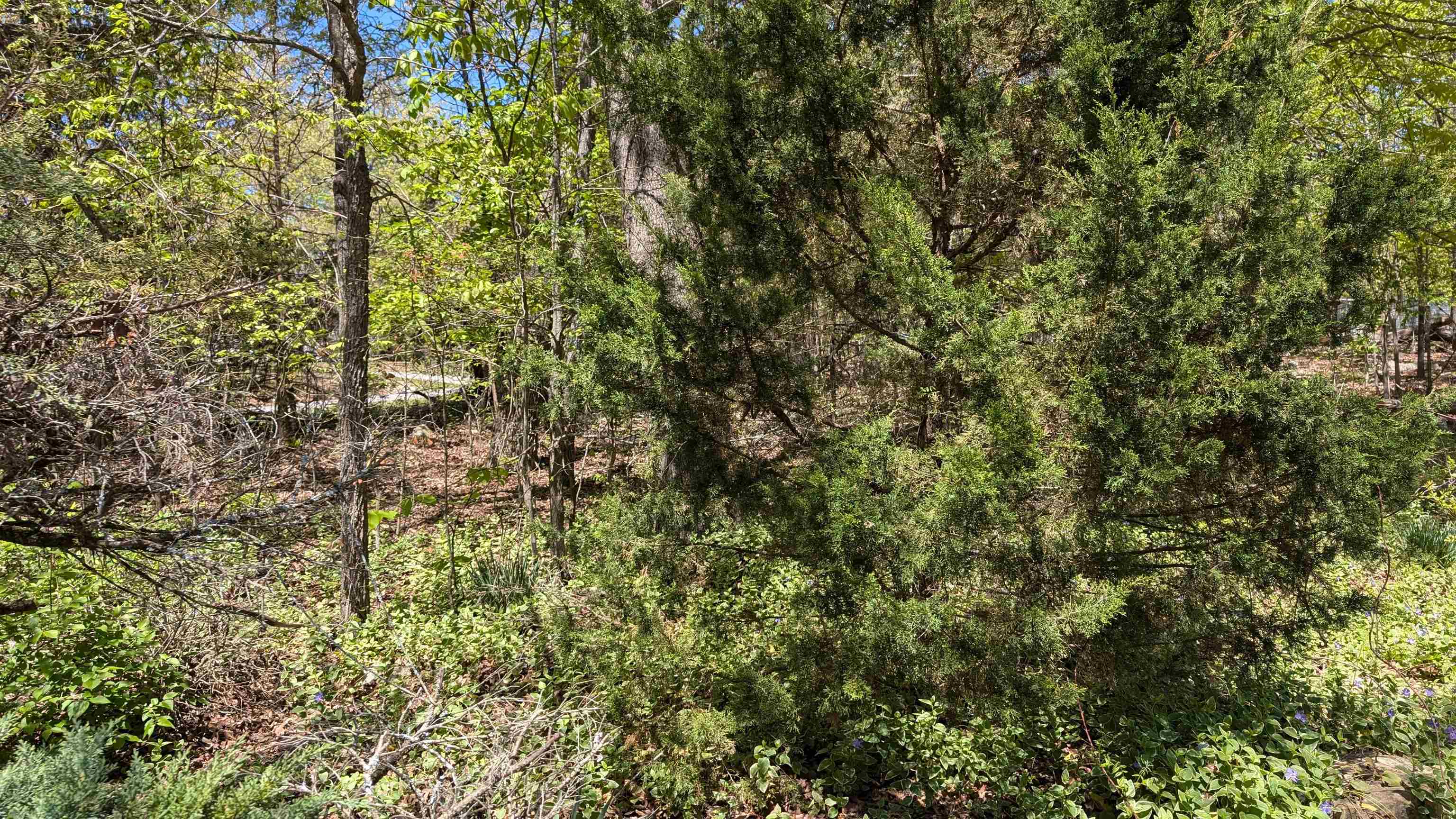 1012 Fairwater Circle Property Photo 42