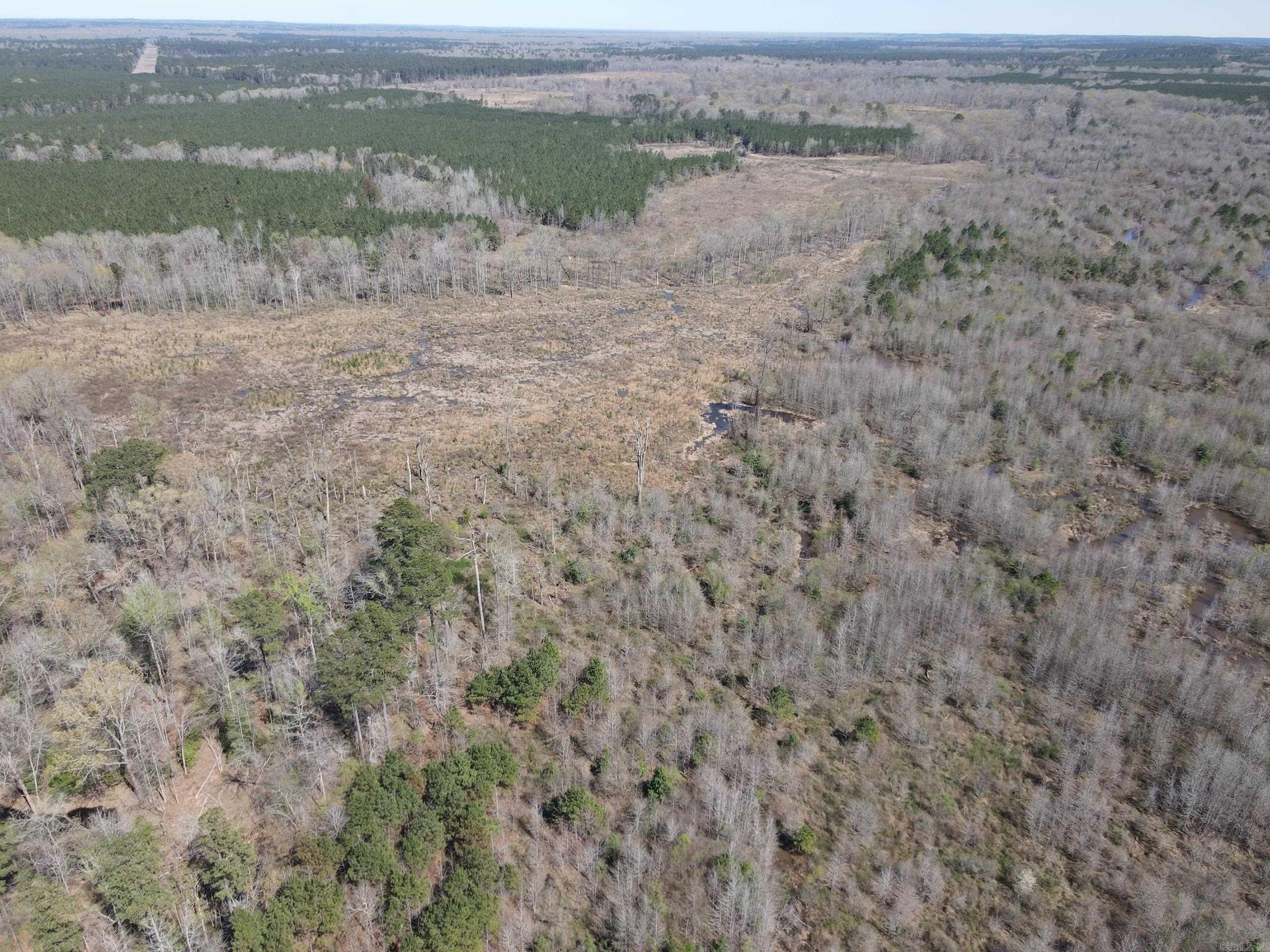 000 Camden Hwy Property Photo 10