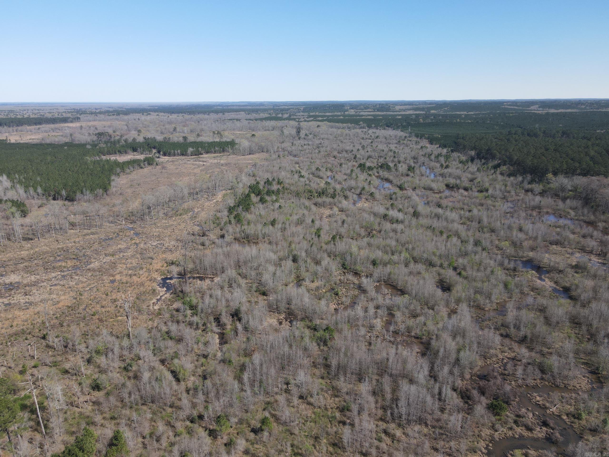000 Camden Hwy Property Photo 11