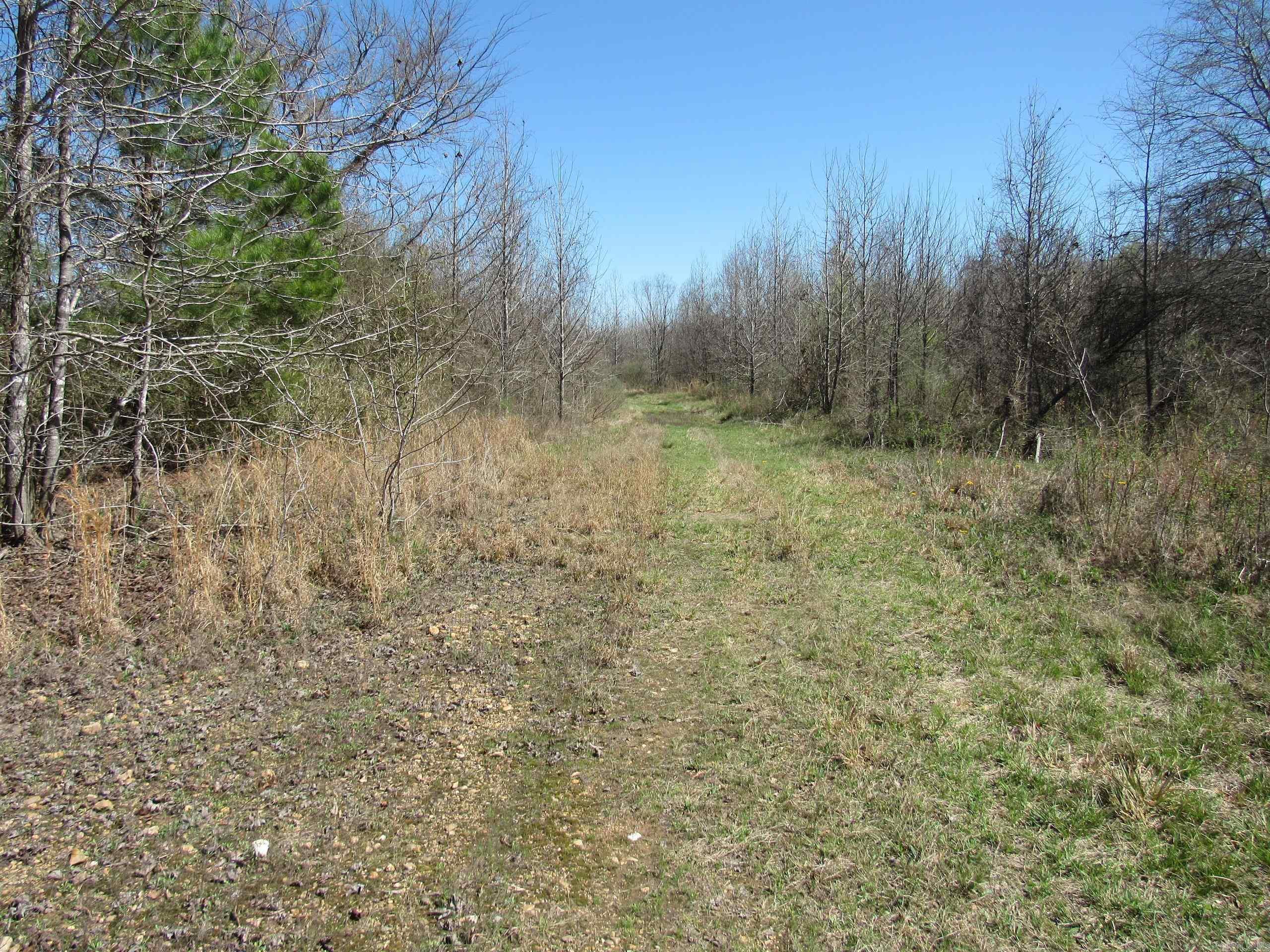 000 Camden Hwy Property Photo 15