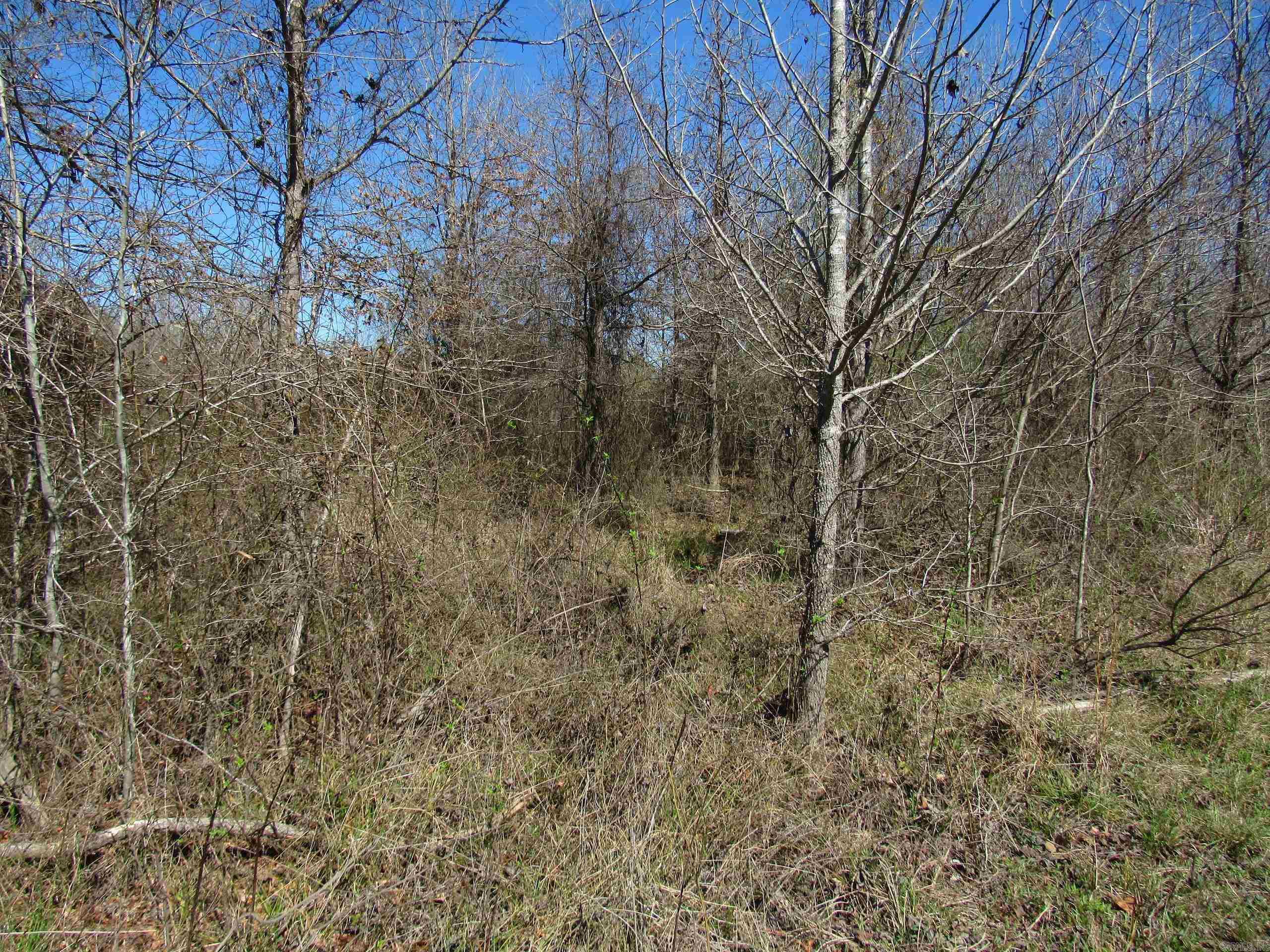 000 Camden Hwy Property Photo 18