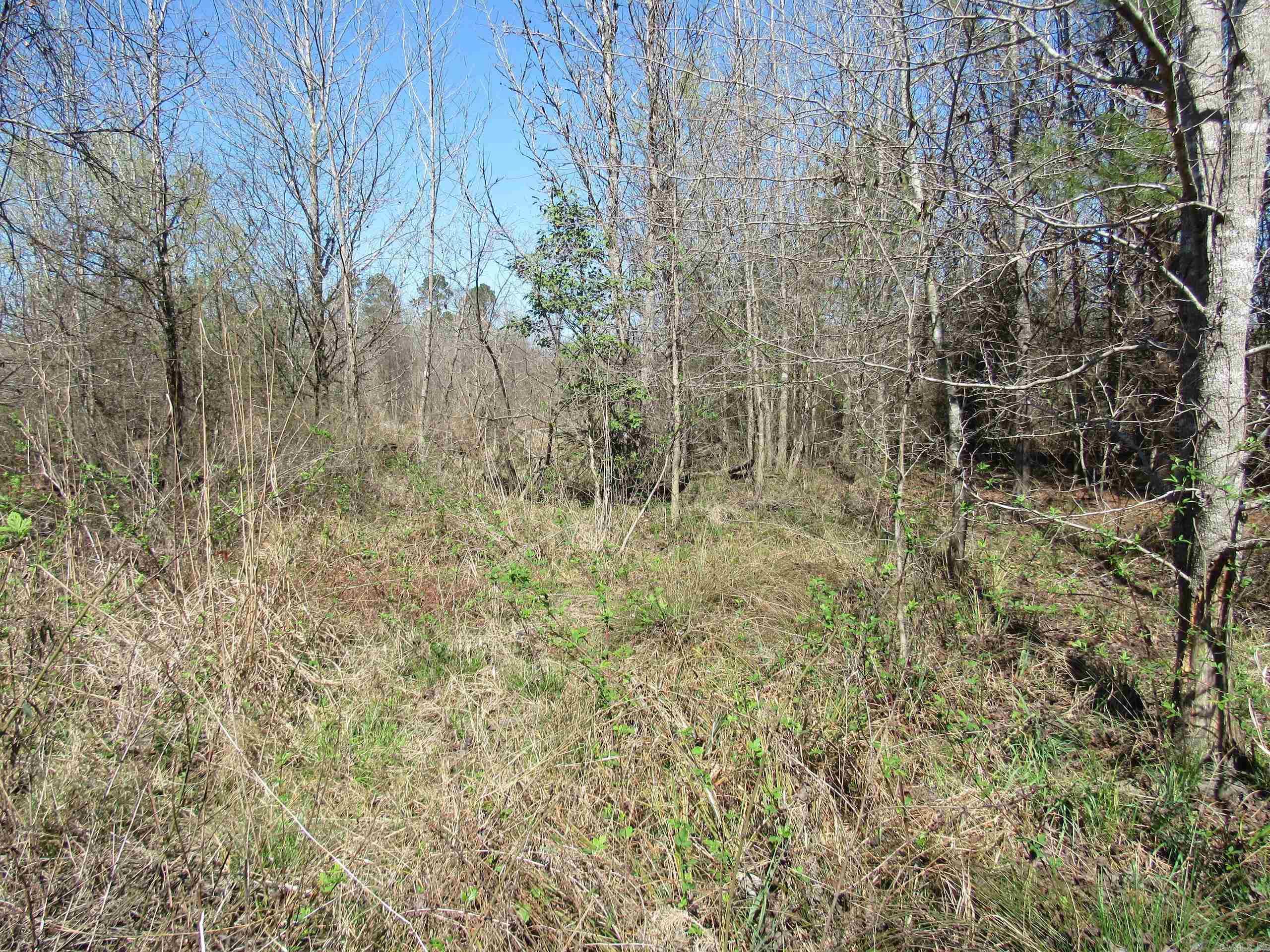 000 Camden Hwy Property Photo 22