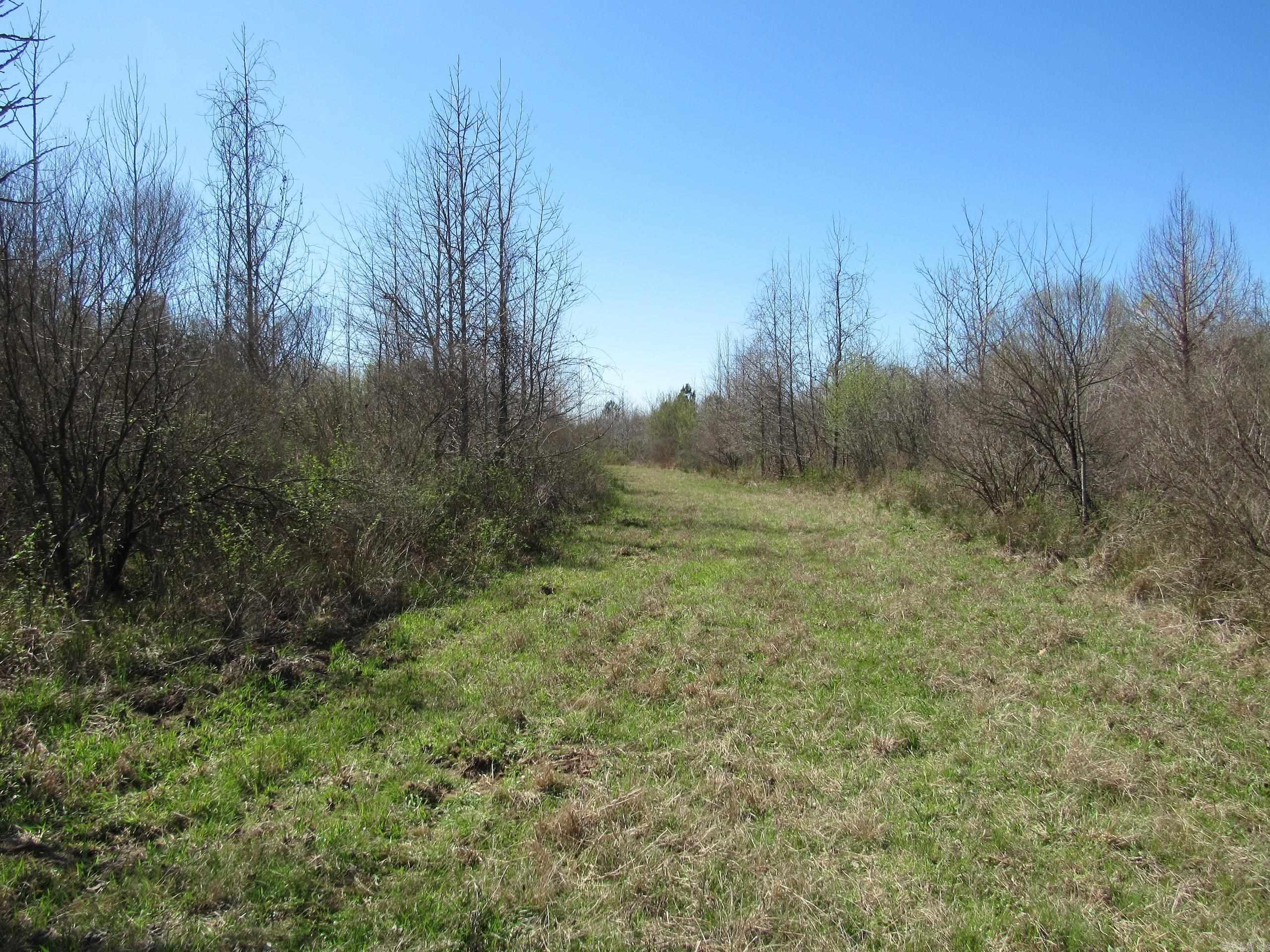 000 Camden Hwy Property Photo 30