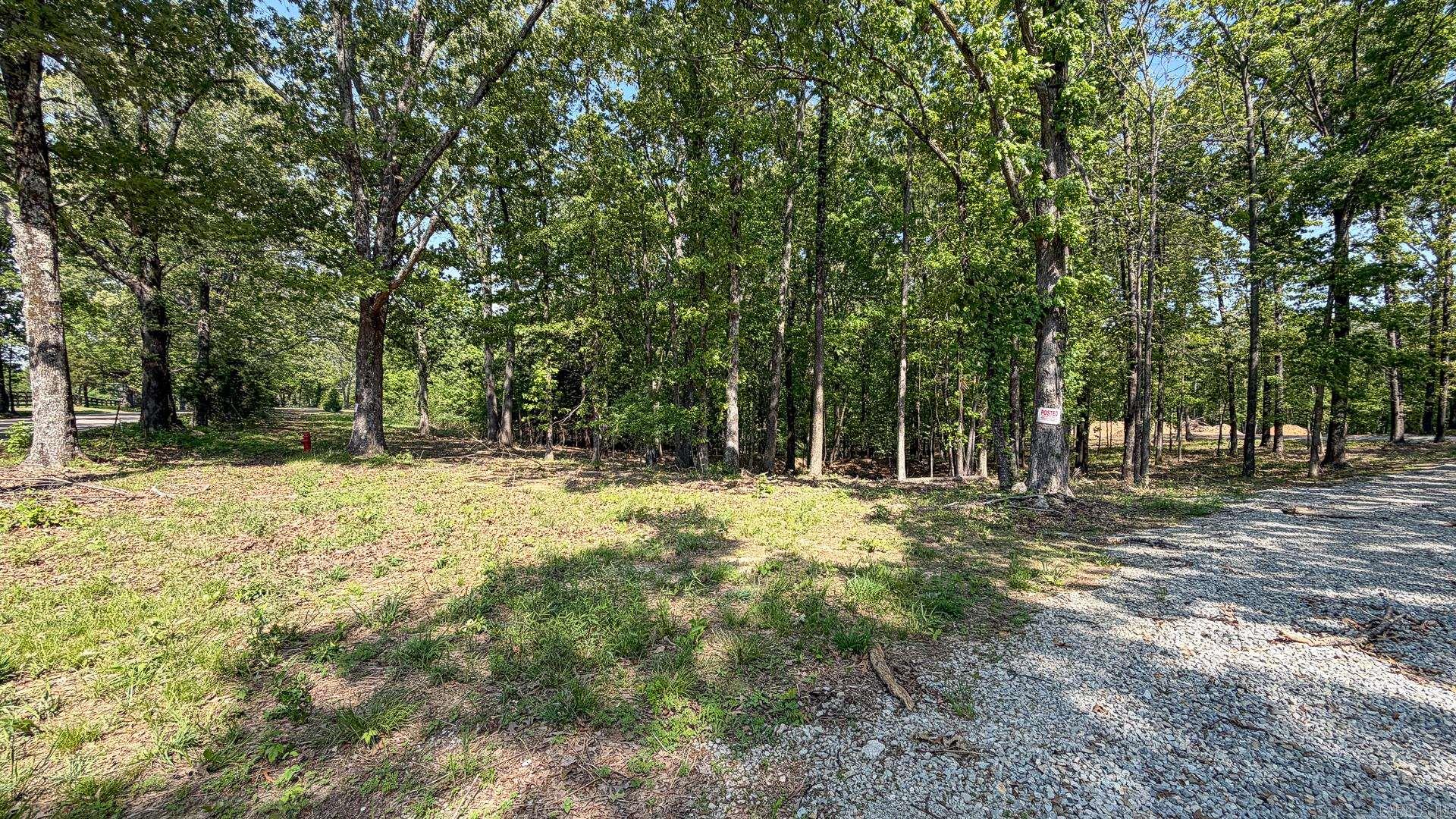 1015 County Road 108 Property Photo 3