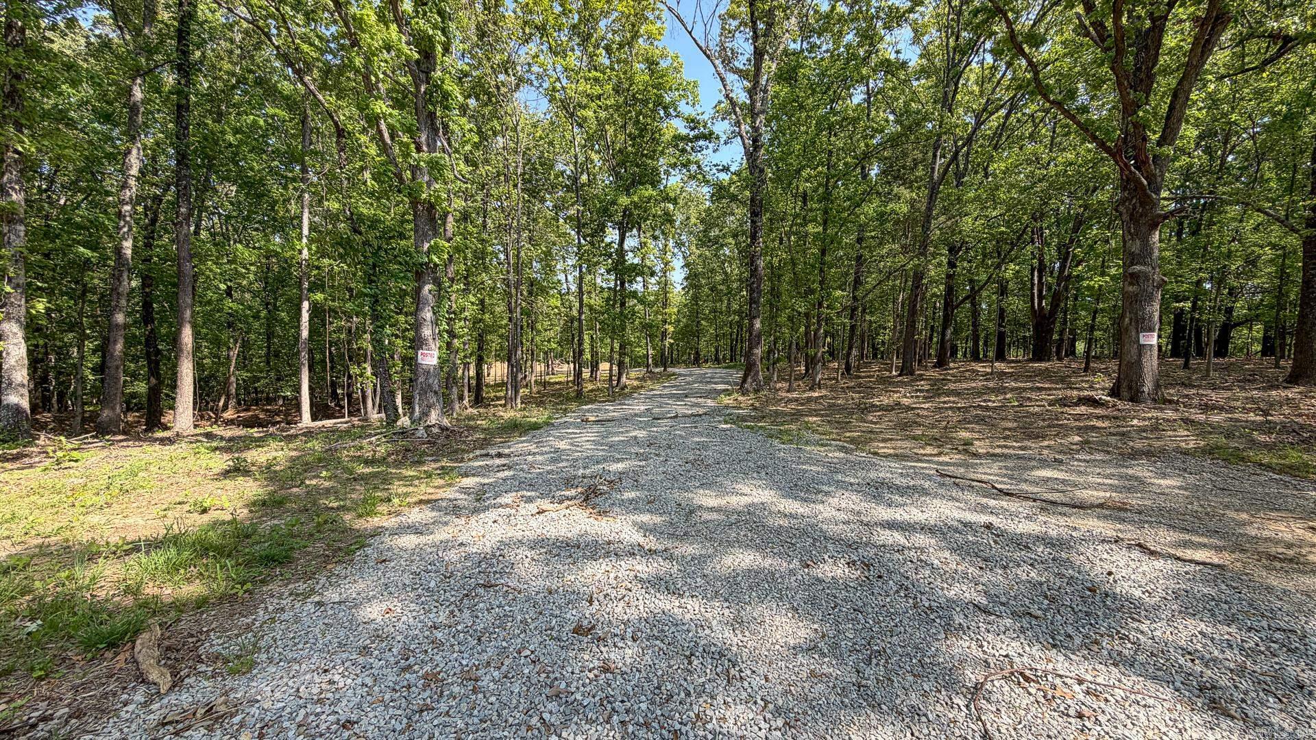 1015 County Road 108 Property Photo 4