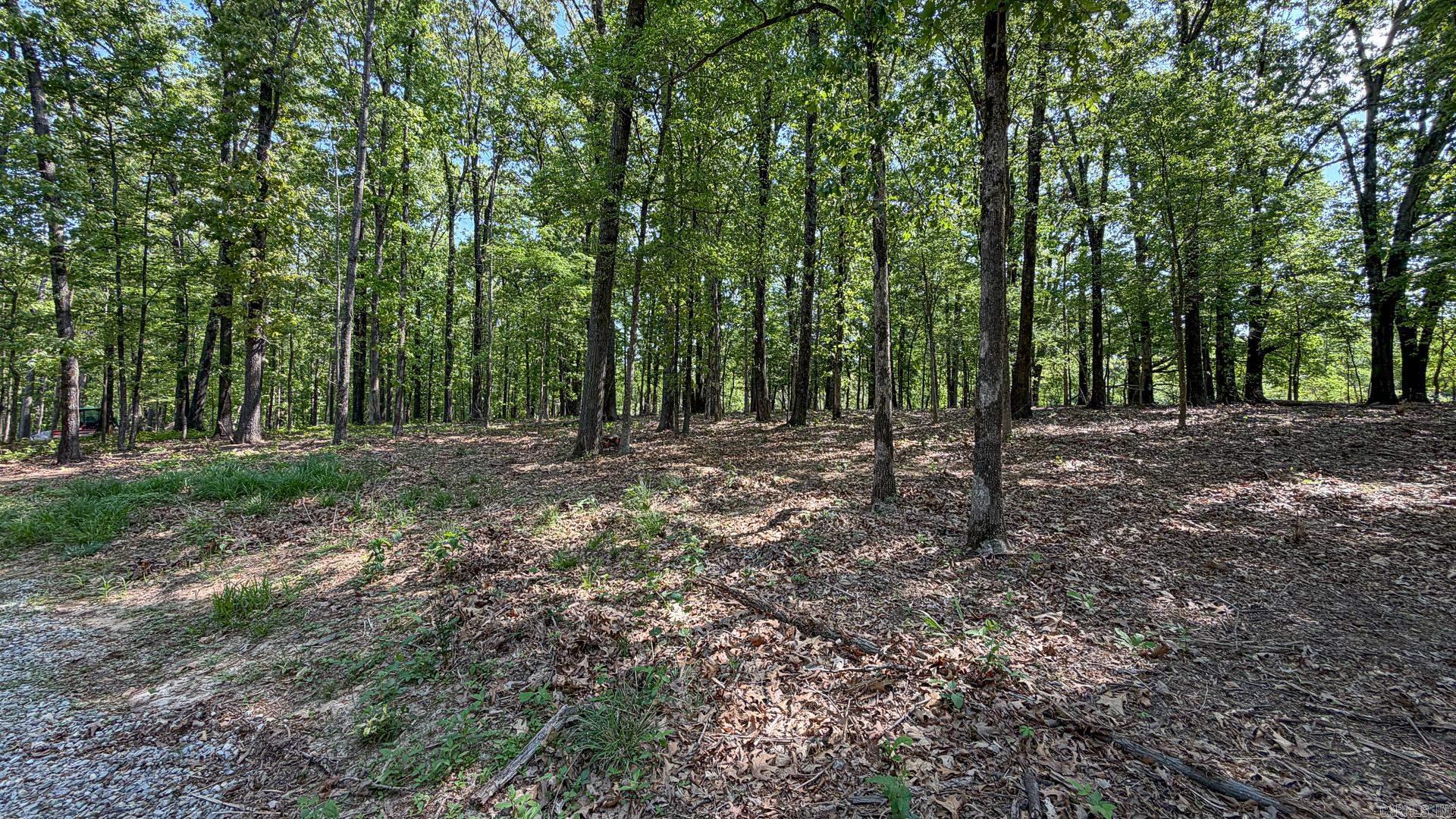1015 County Road 108 Property Photo 5